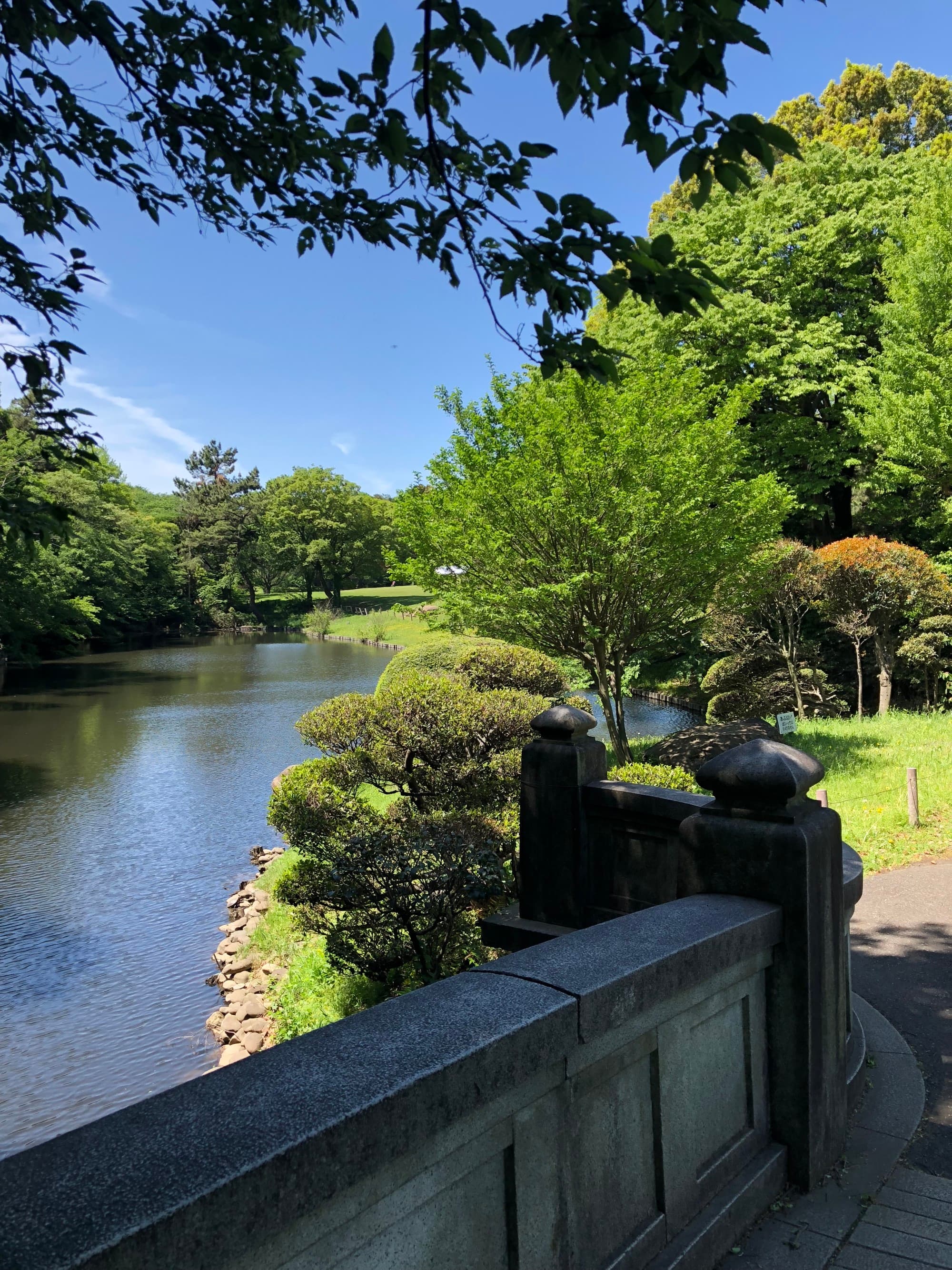A far view of the lake near a garden during the daytime.