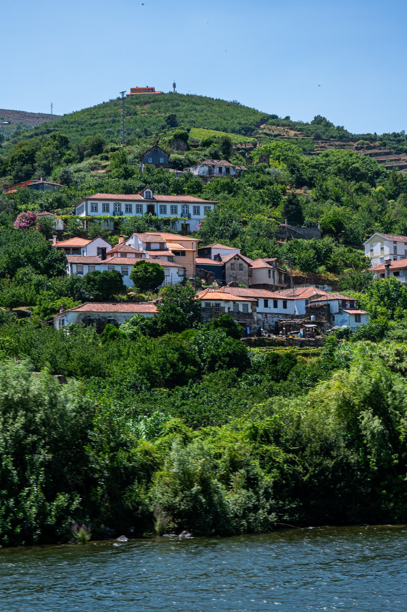 Views of the Douro Valley from the river in the Vila Real Region.