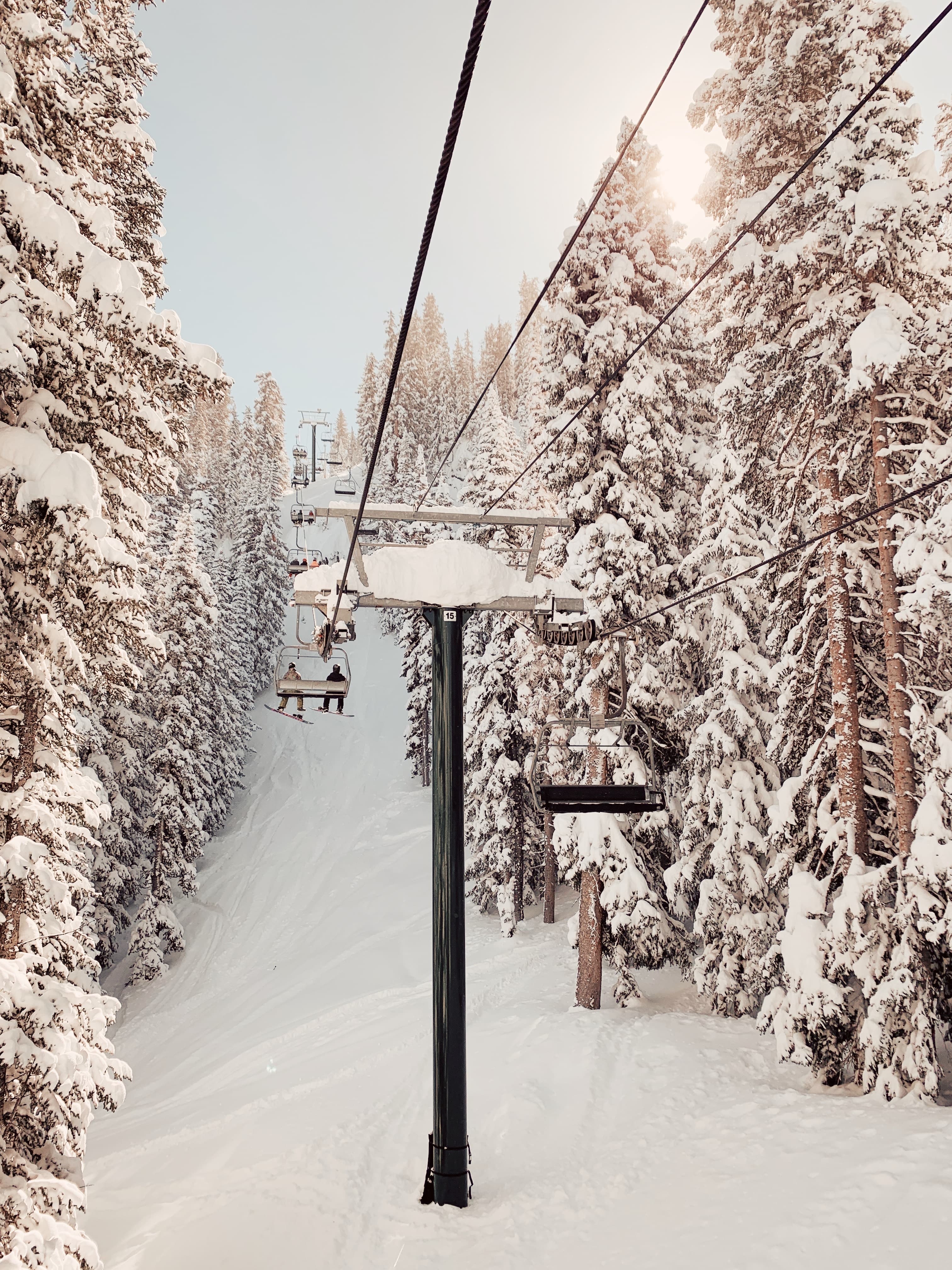 Snow covered trees near a ski lift during the daytime