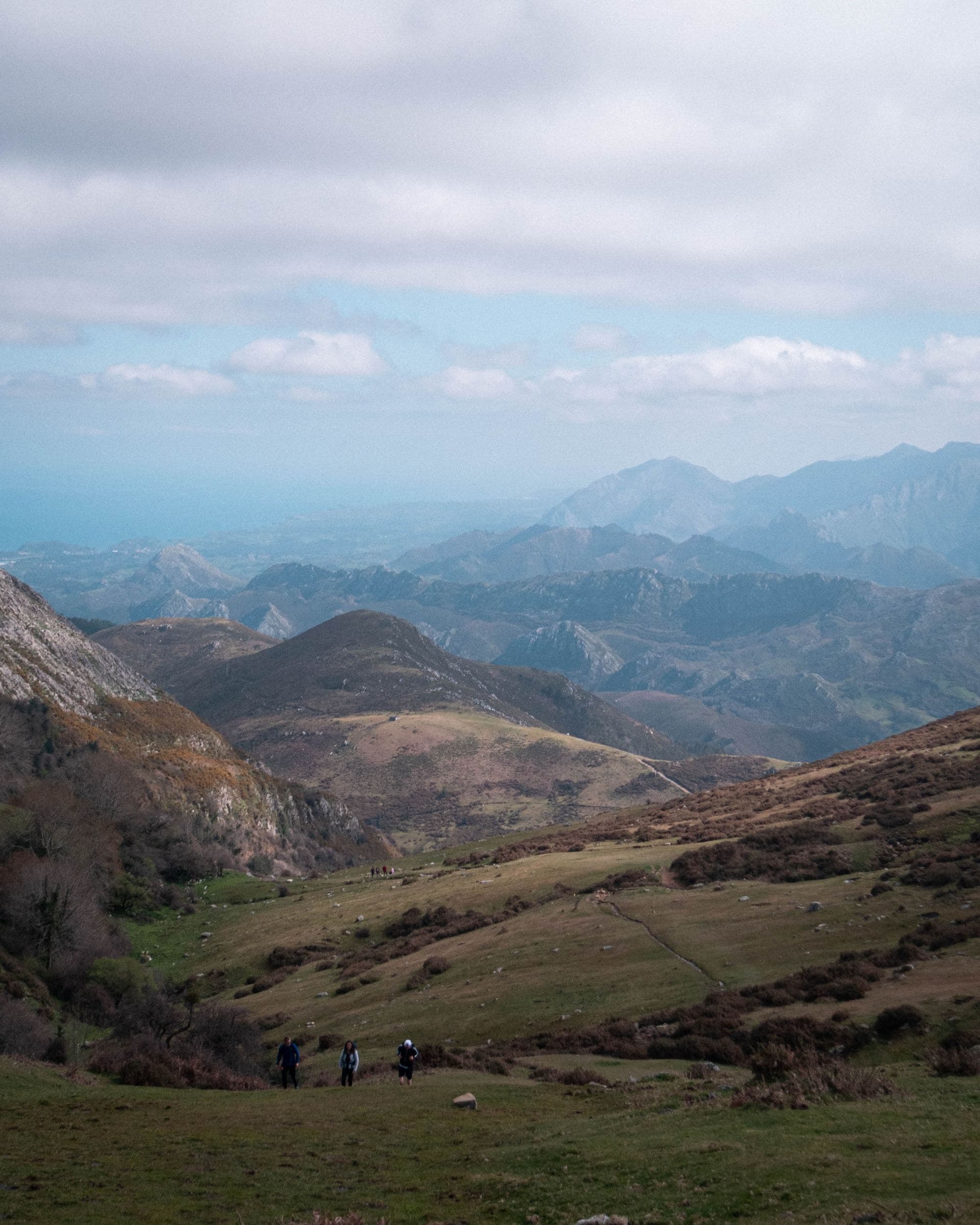 mountainous wine region