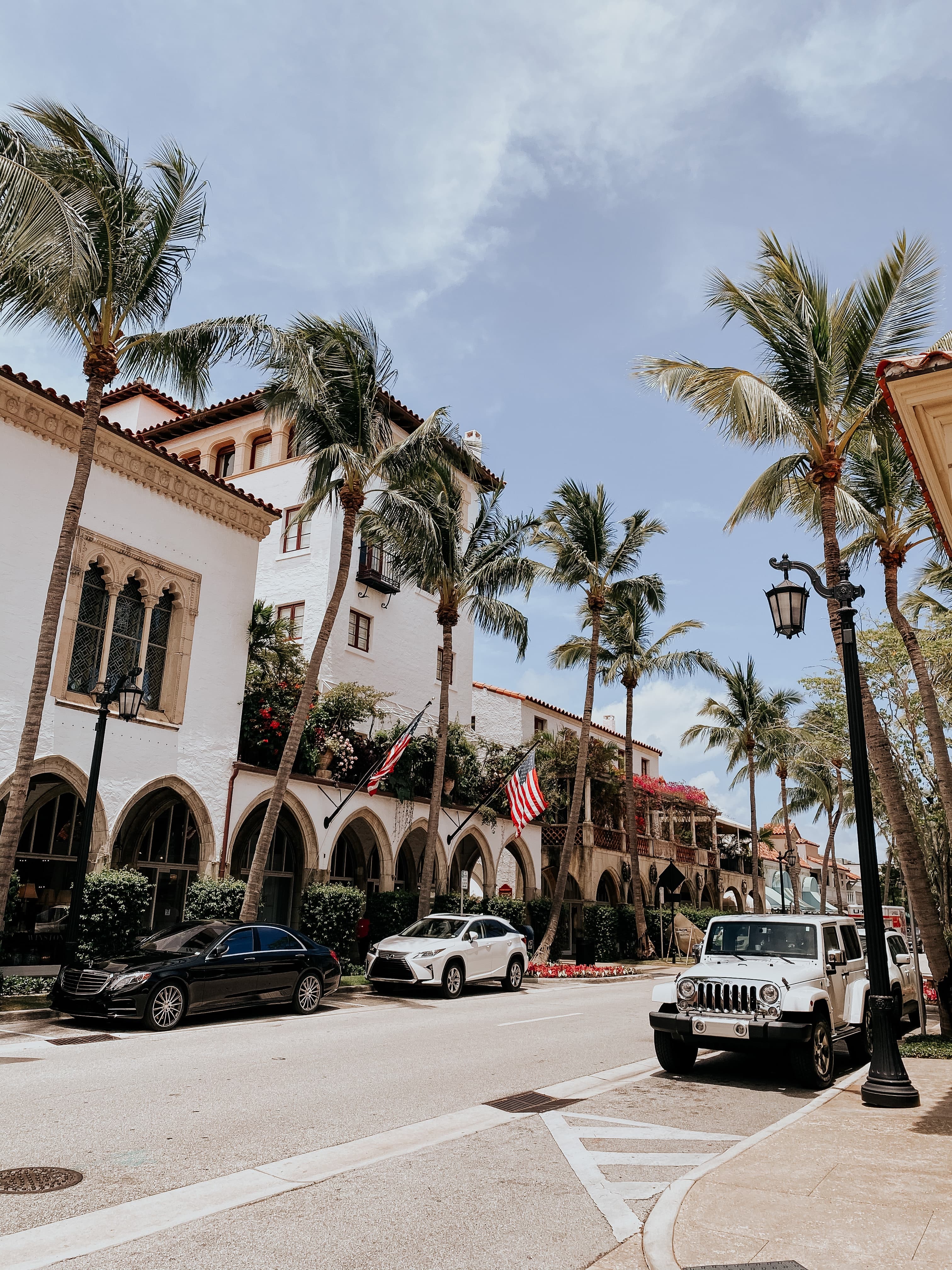 road lined with palm trees and stores during daytime