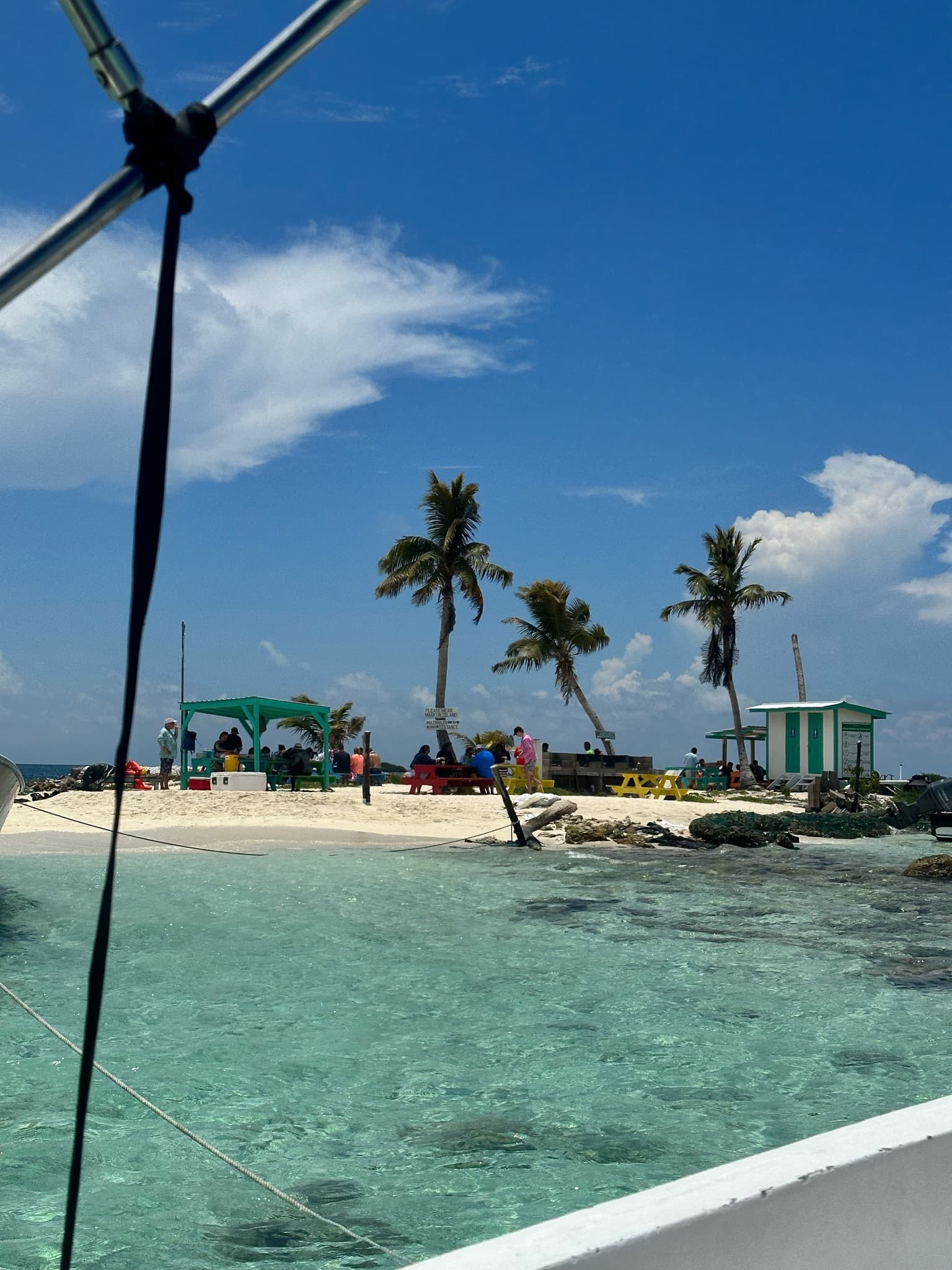 Palm trees on the beach