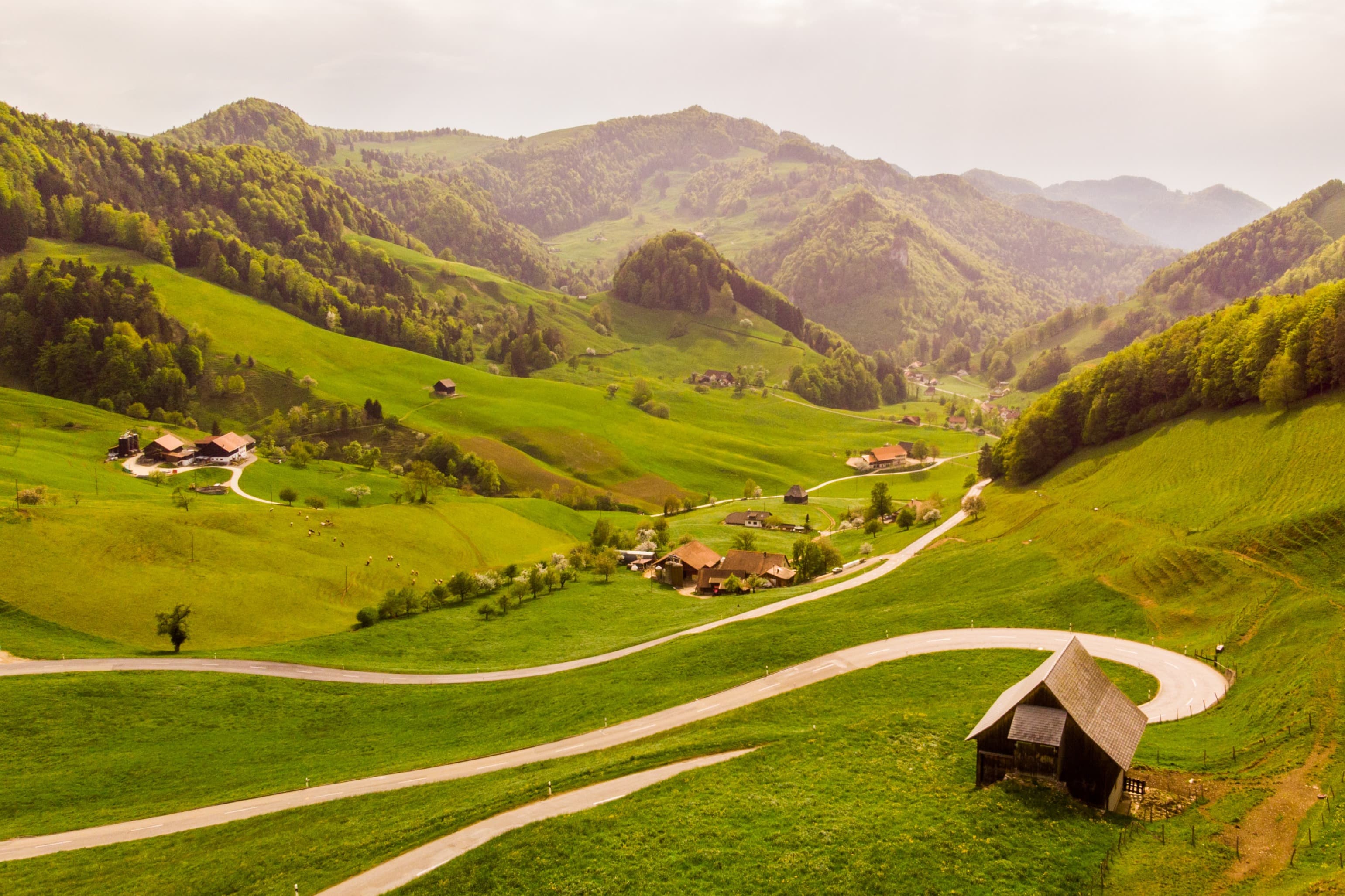 Little houses at a meadow.