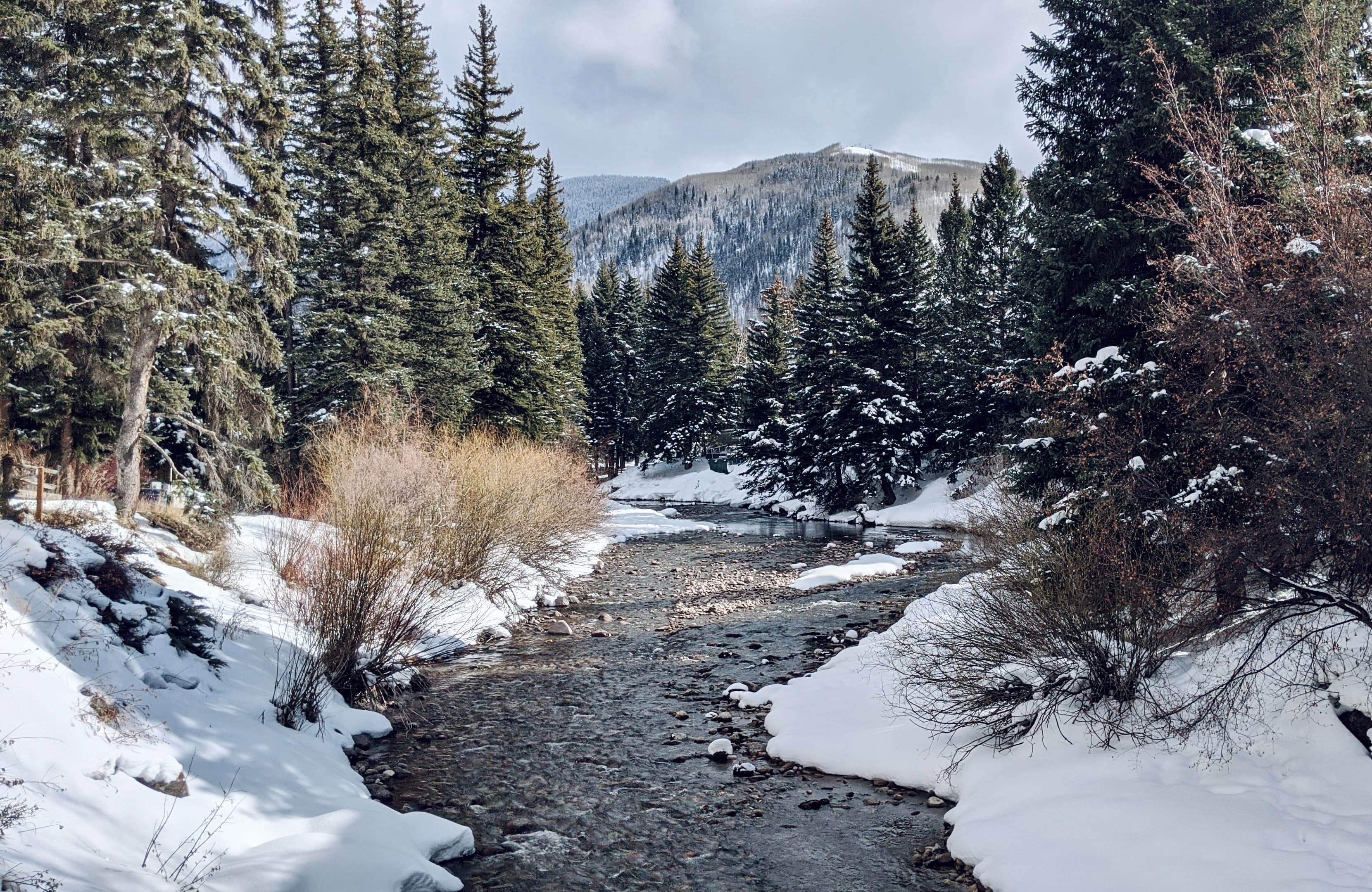 river surrounded by snow and trees with mountains in the background