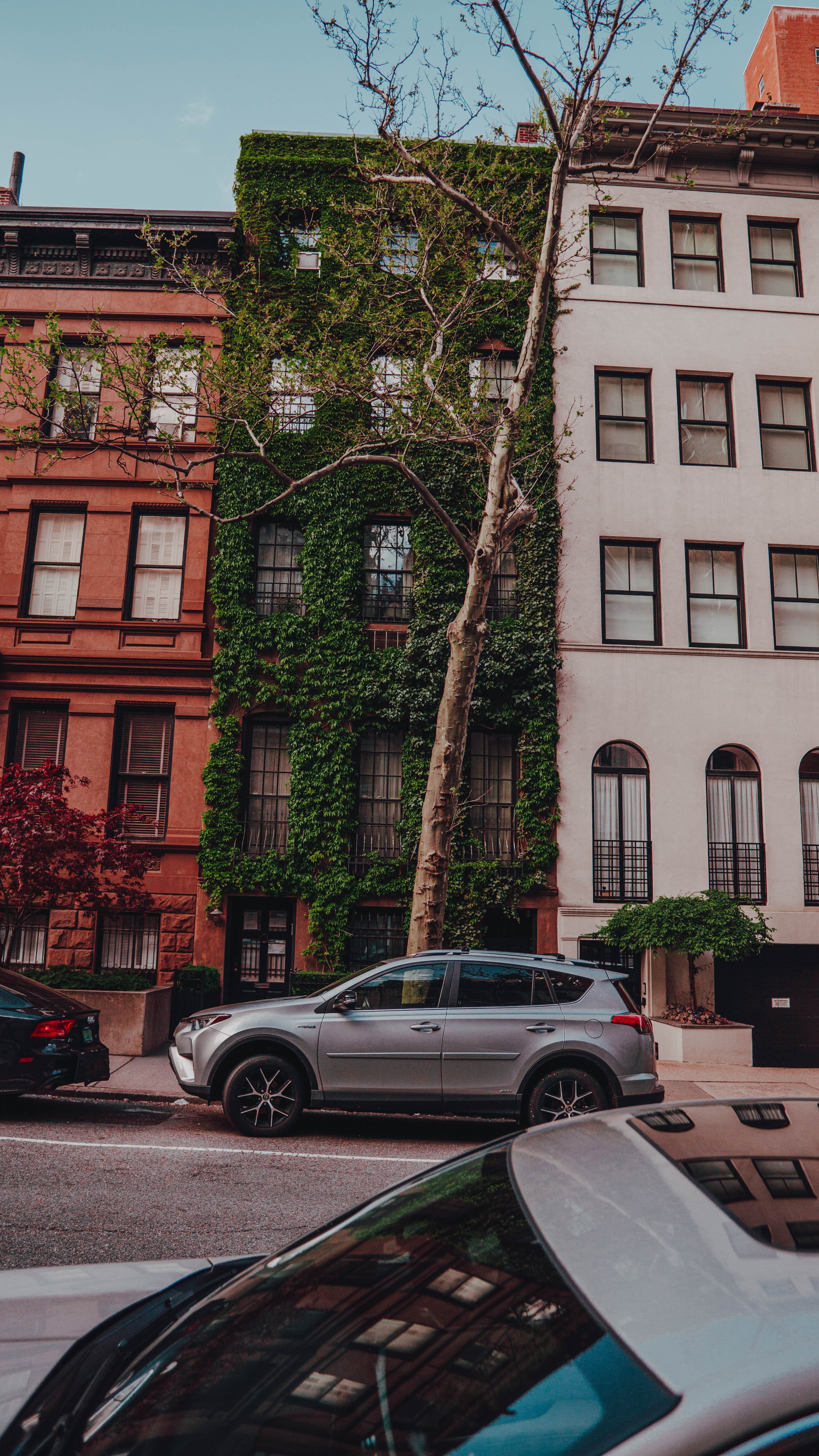 A brownstone building with ivy.