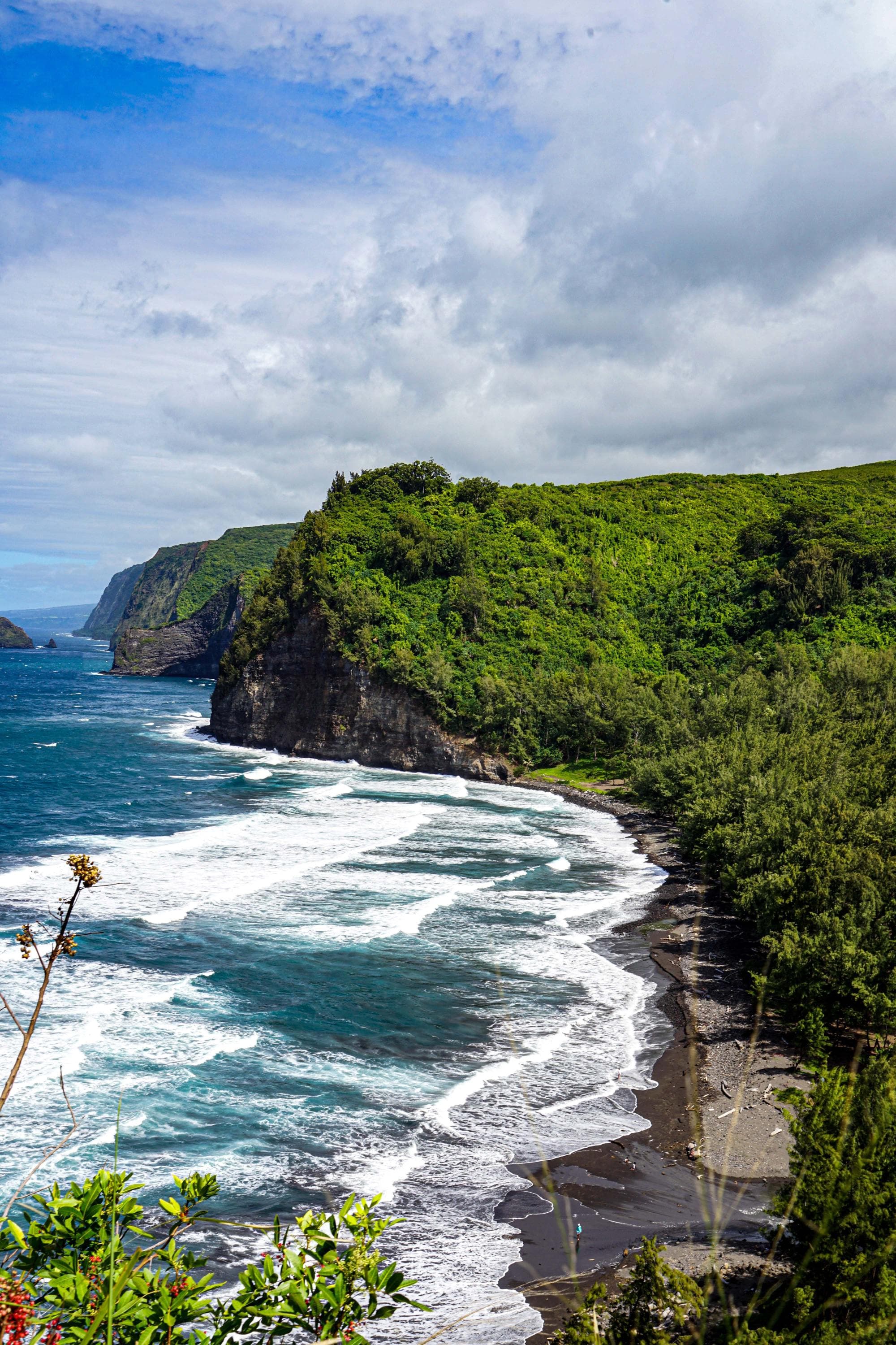 waves crash onto a wild beach with green mountains