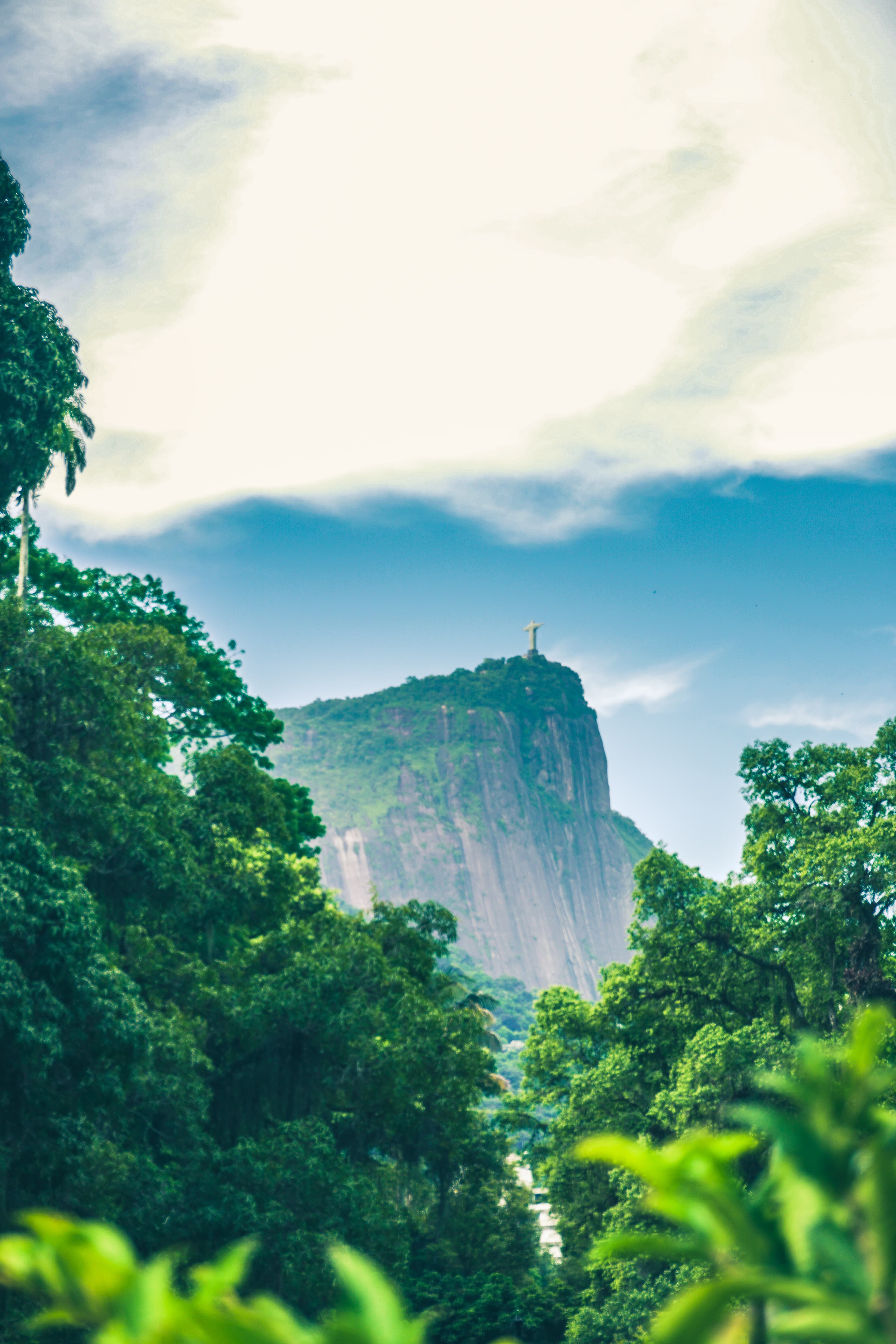 Views of the mountains in Rio.