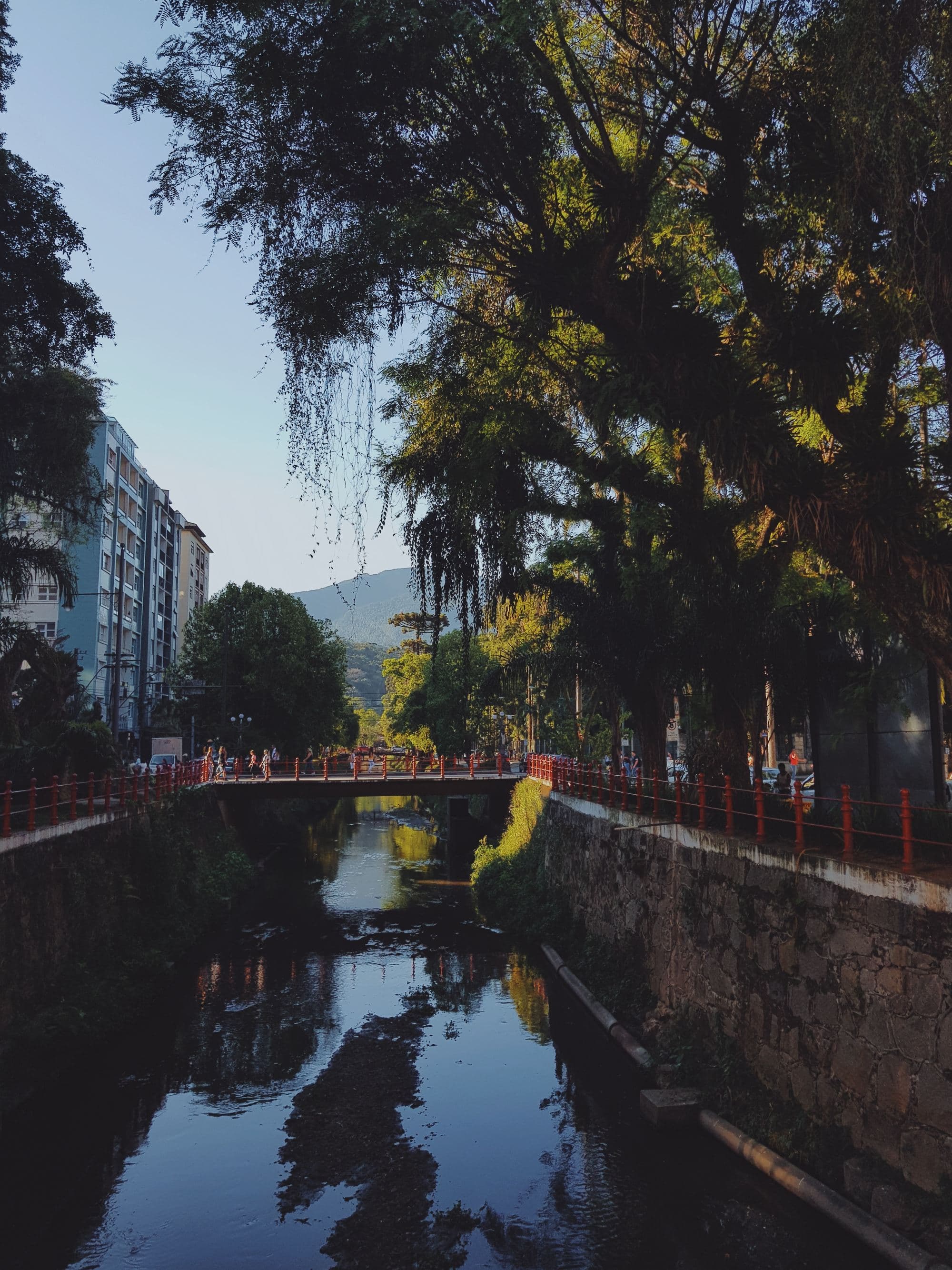 canal in a city with overhanging trees