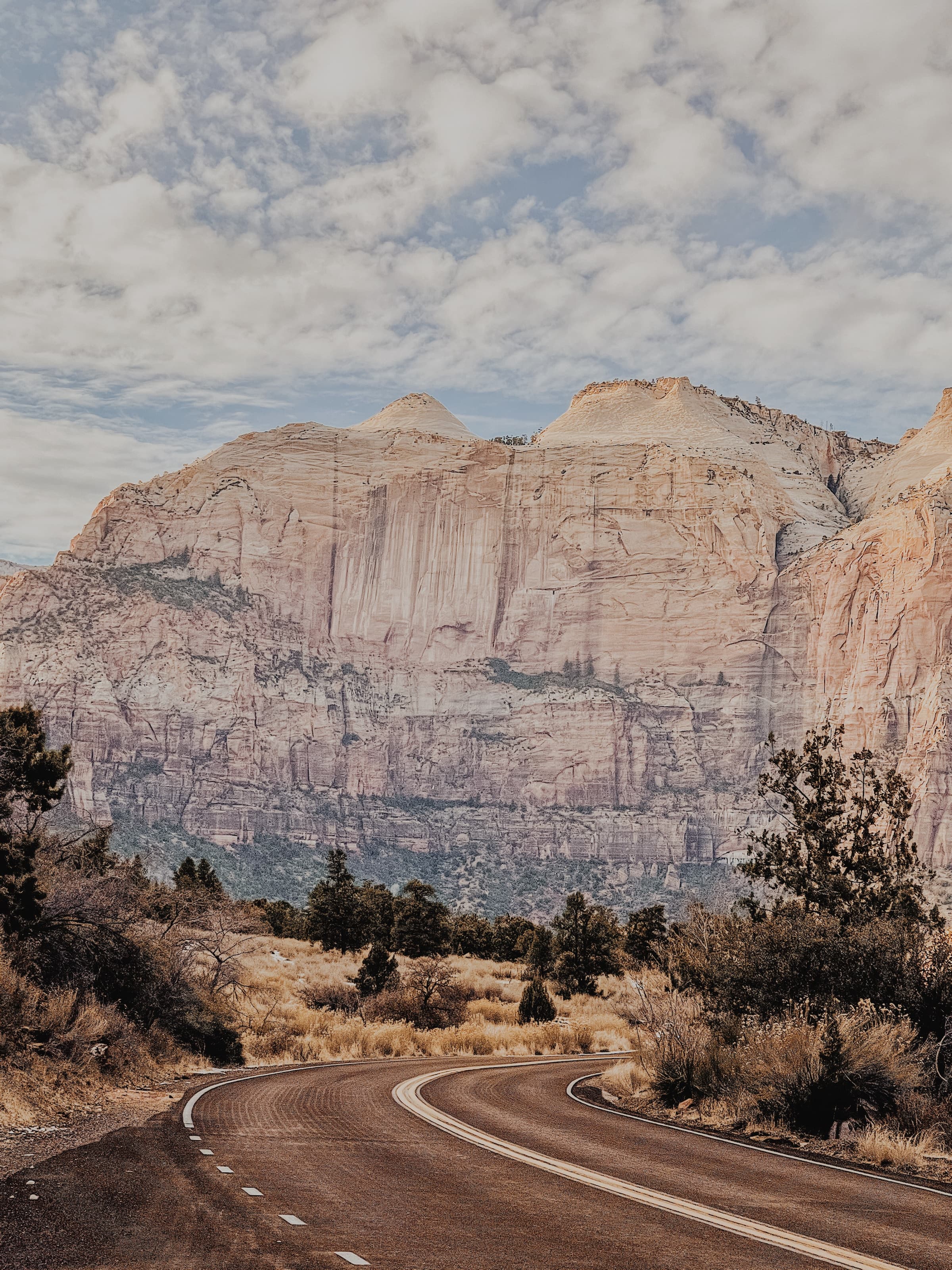 Road going to the brown rocky mountain of Zion National Park.