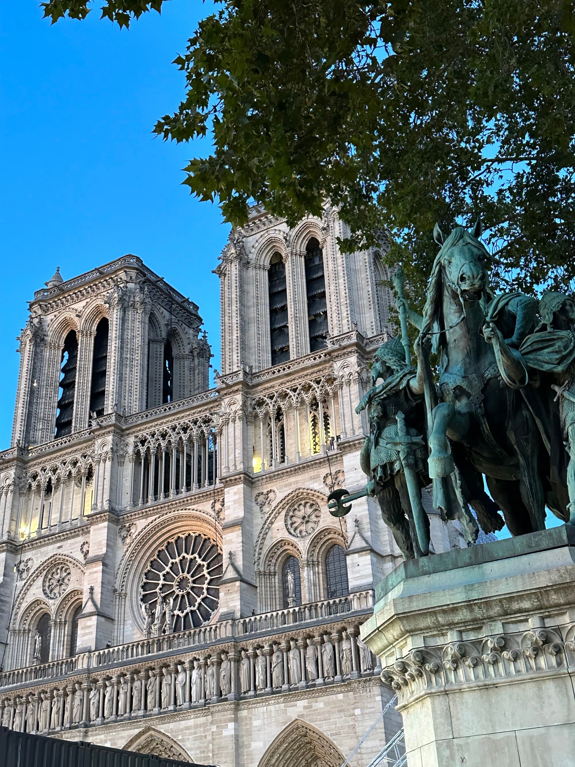 A view from the bottom of the exterior of Notre Dame with a tree in front.