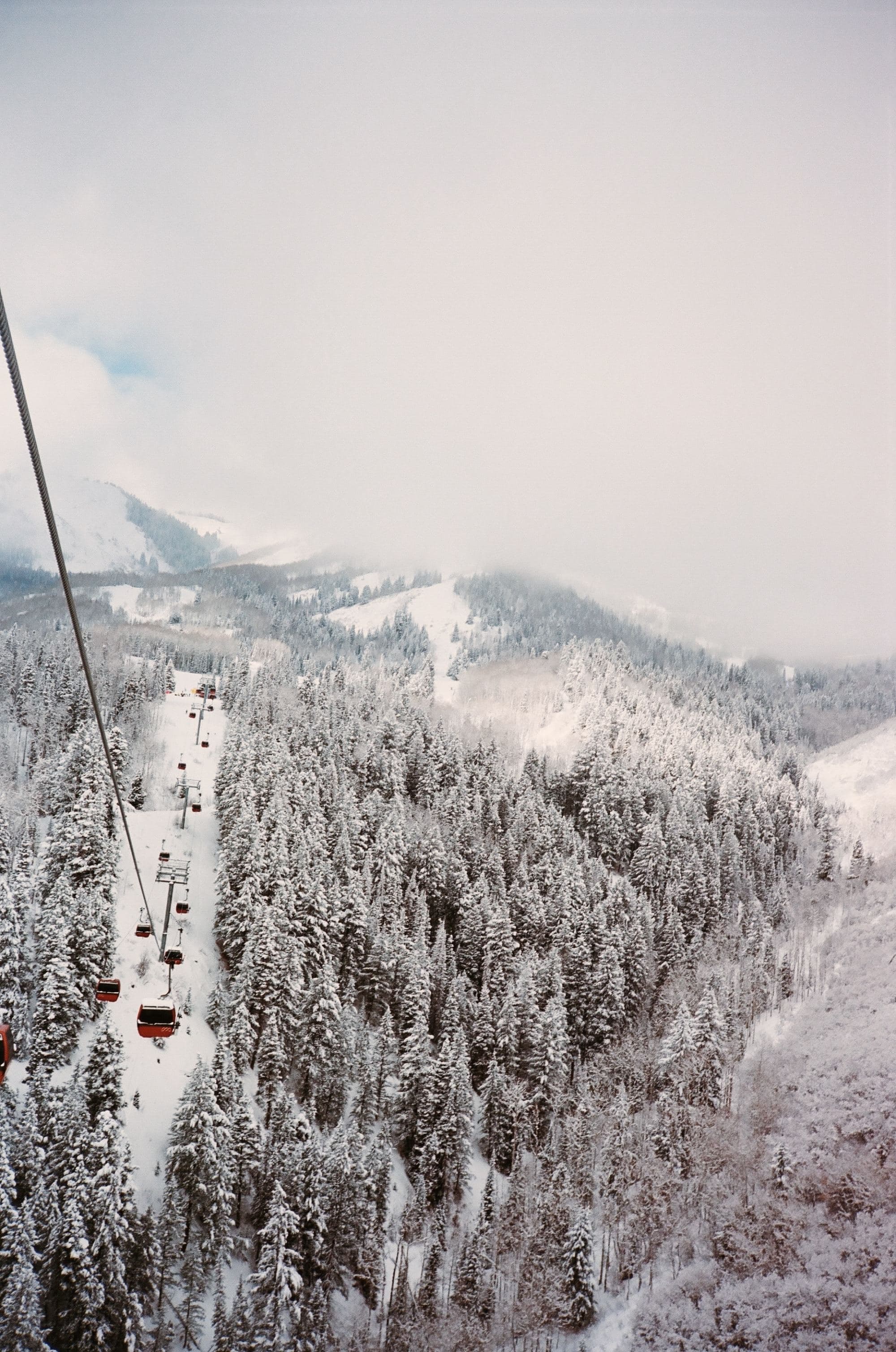 gondolas fly over a ski mountain in winter