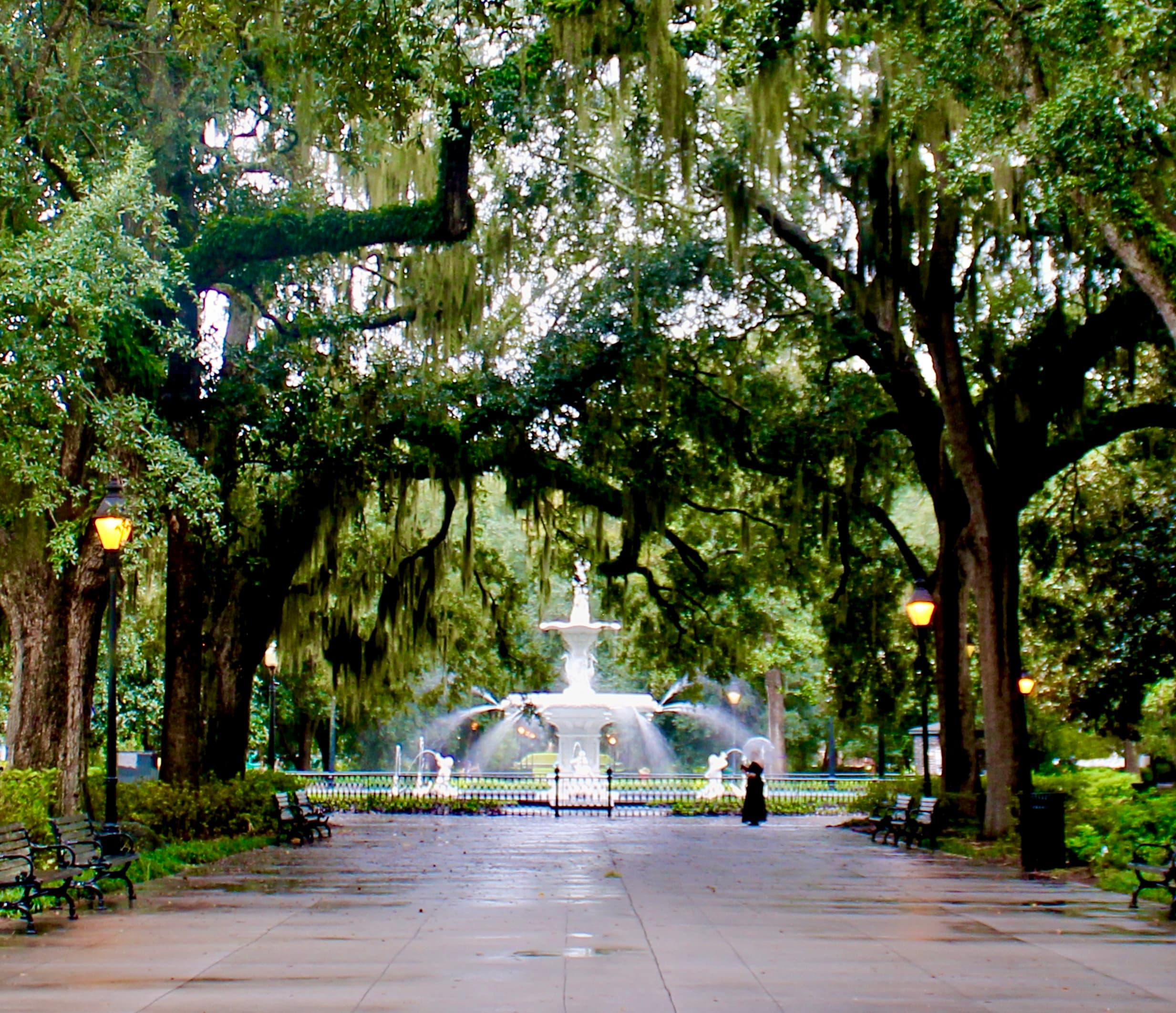 pretty fountain with trees