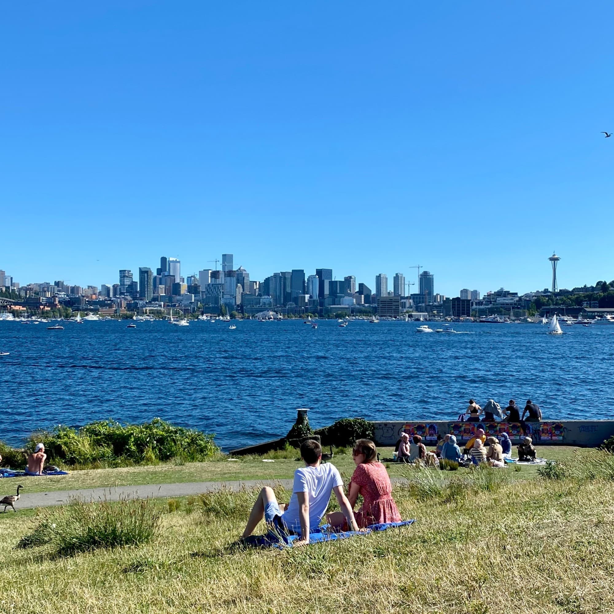 A picture of people sitting on a grassy lawn with a view of the sea and Seattle skyline in the distance.