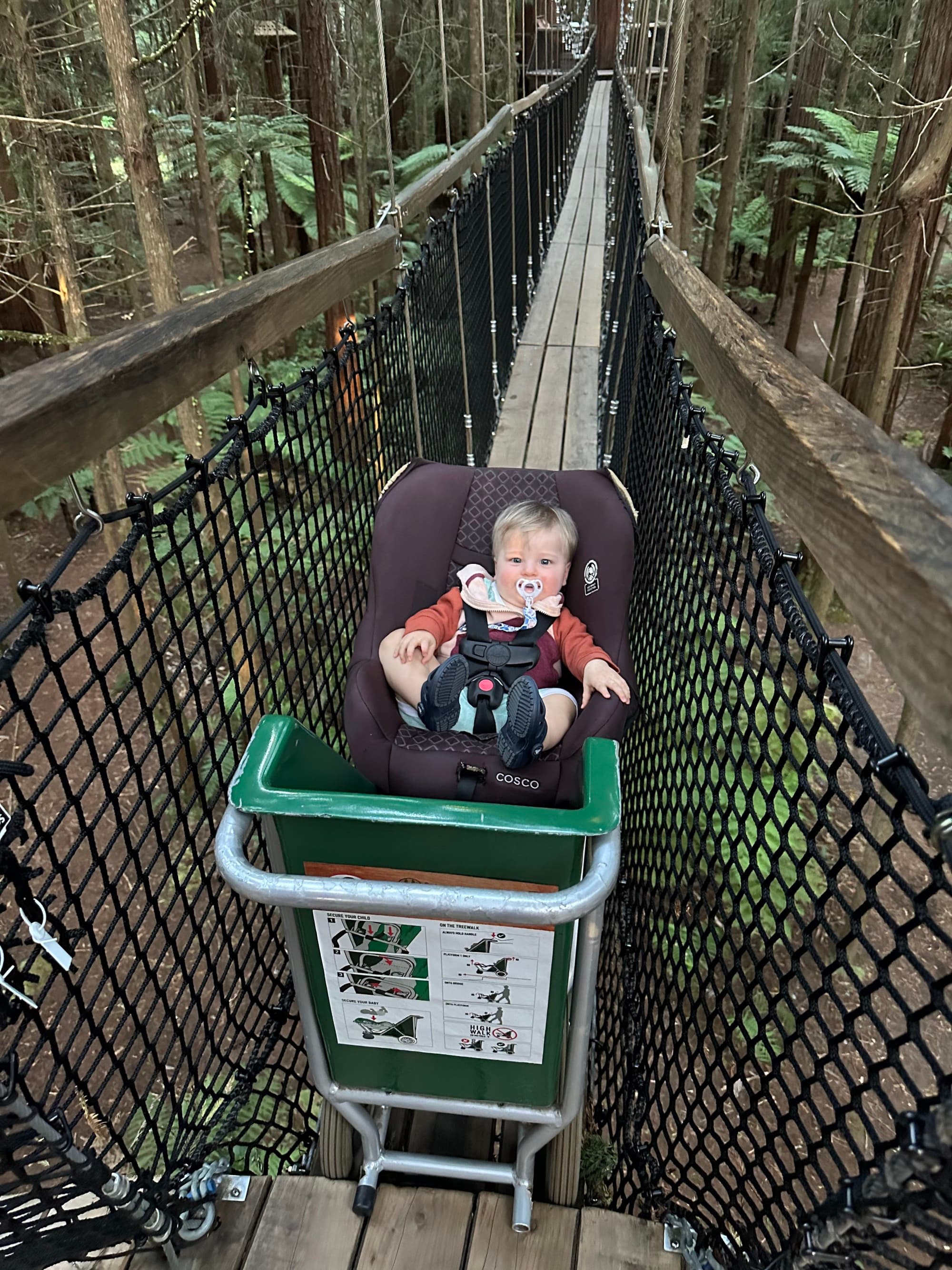 A baby in a car seat is placed on top of a green cart on a suspension bridge surrounded by tall trees.