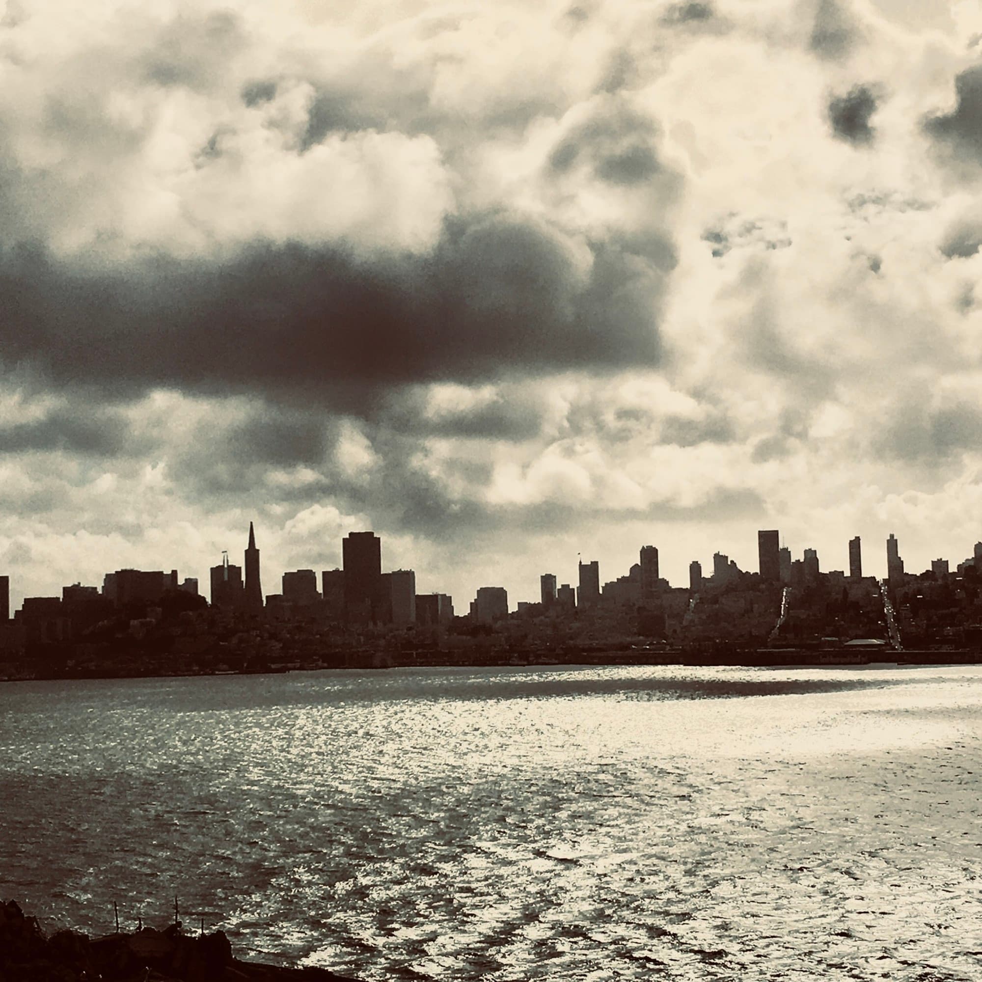 An aerial view of the San Franciso city