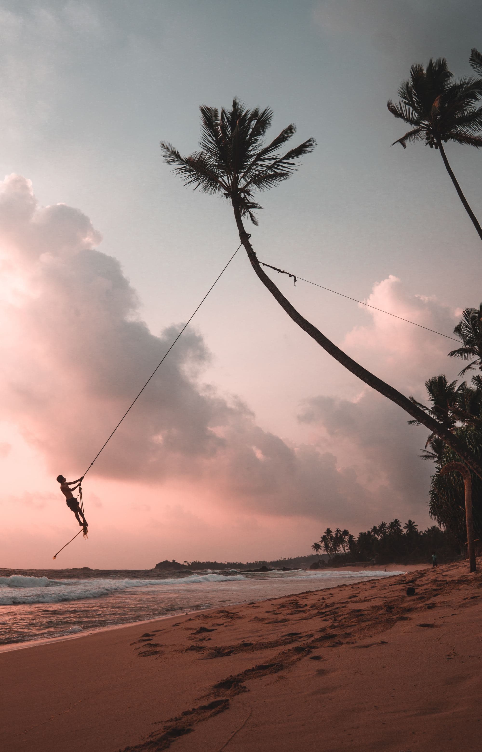 A boy swinging by the palm trees near the beach.