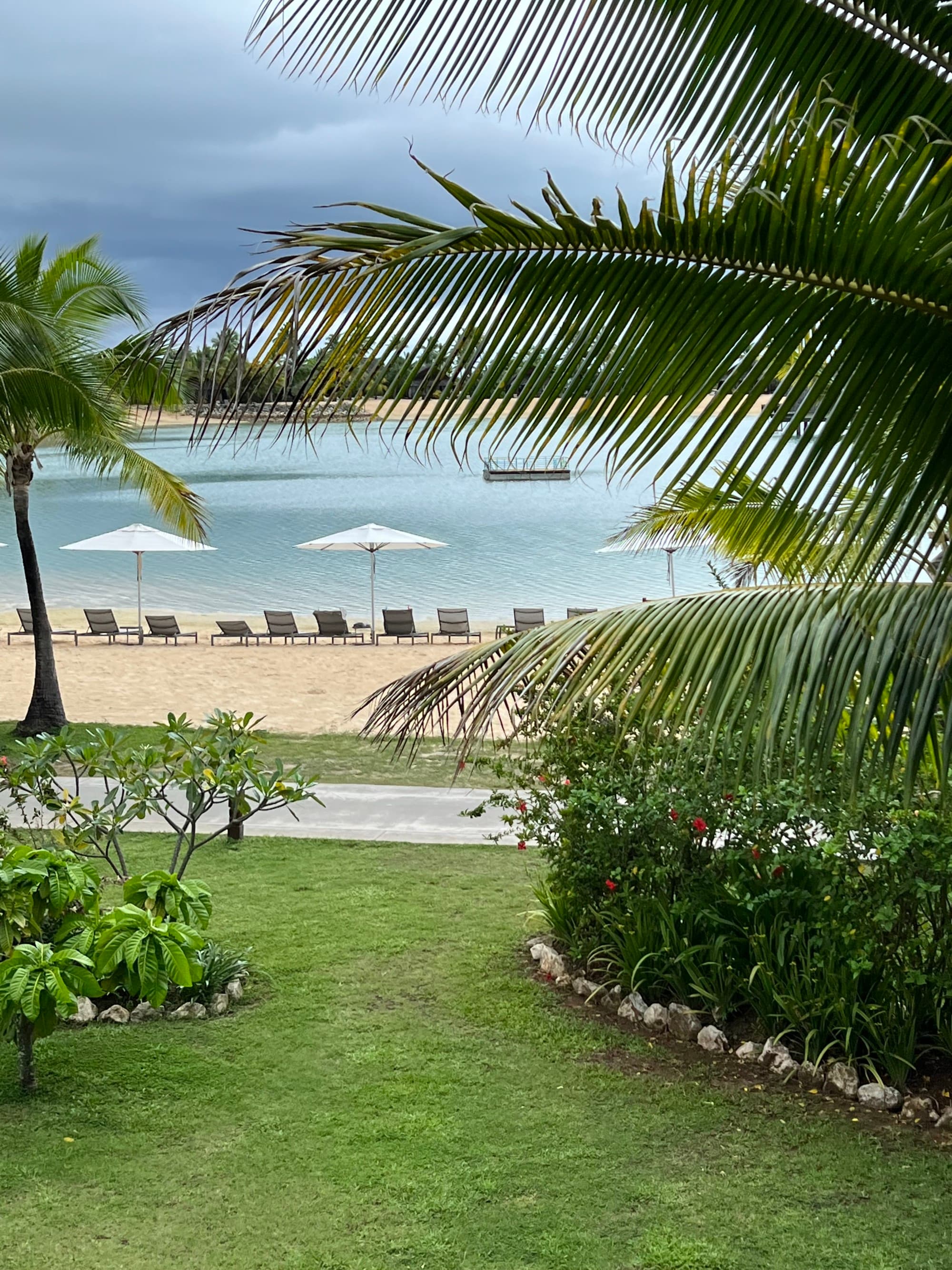 A faw view of the beach from palm garden during daytime.