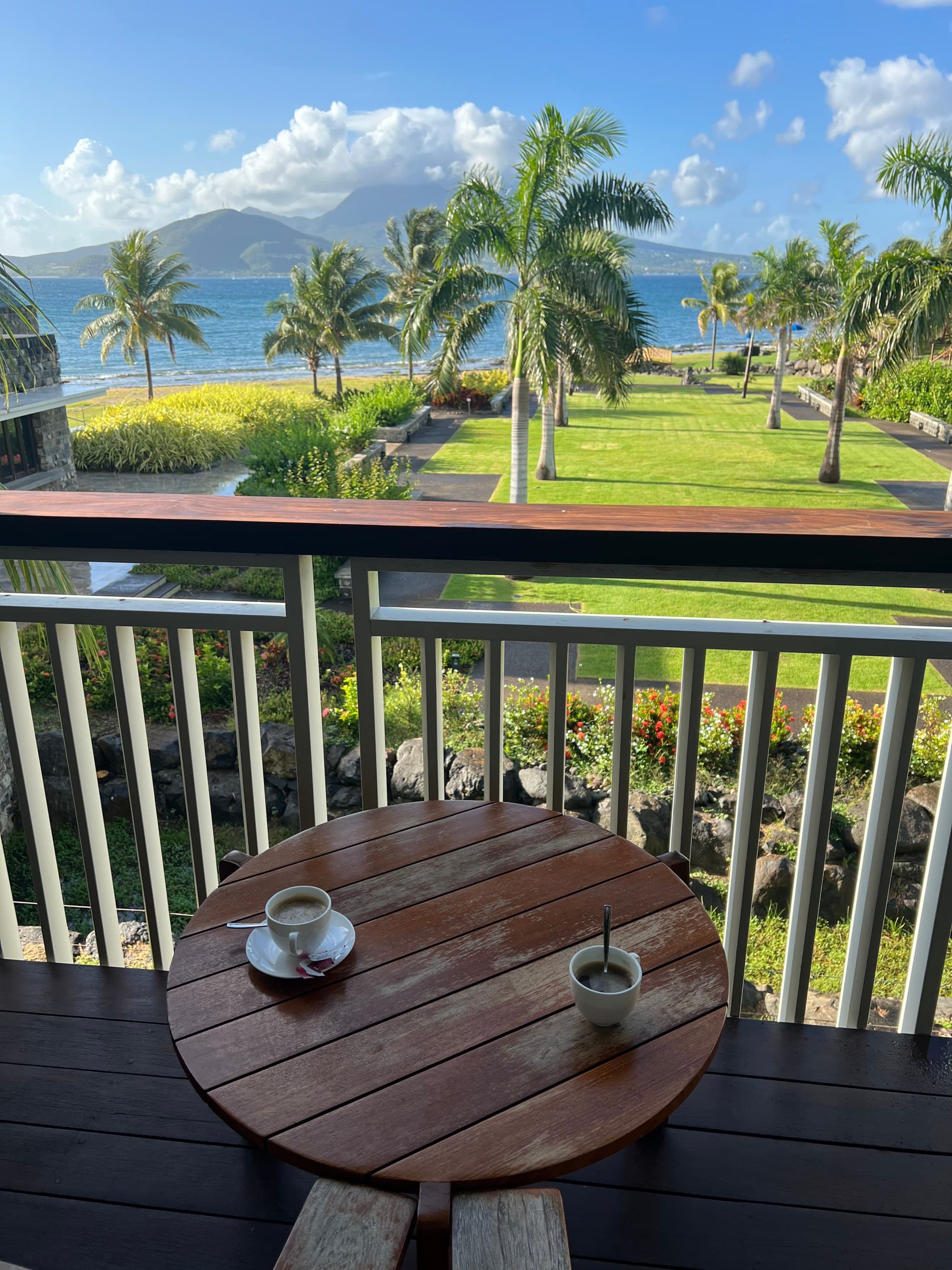 Park Hyatt view from the patio overlooking greenery and palm trees along and shore on a sunny day dotted with clouds.