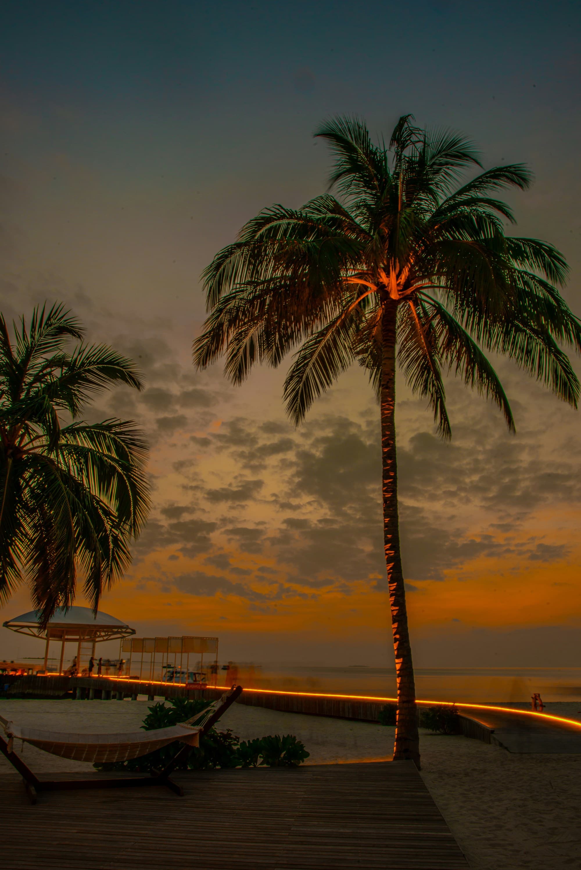 A view of palm trees on a beach in the evening with an orange sky.