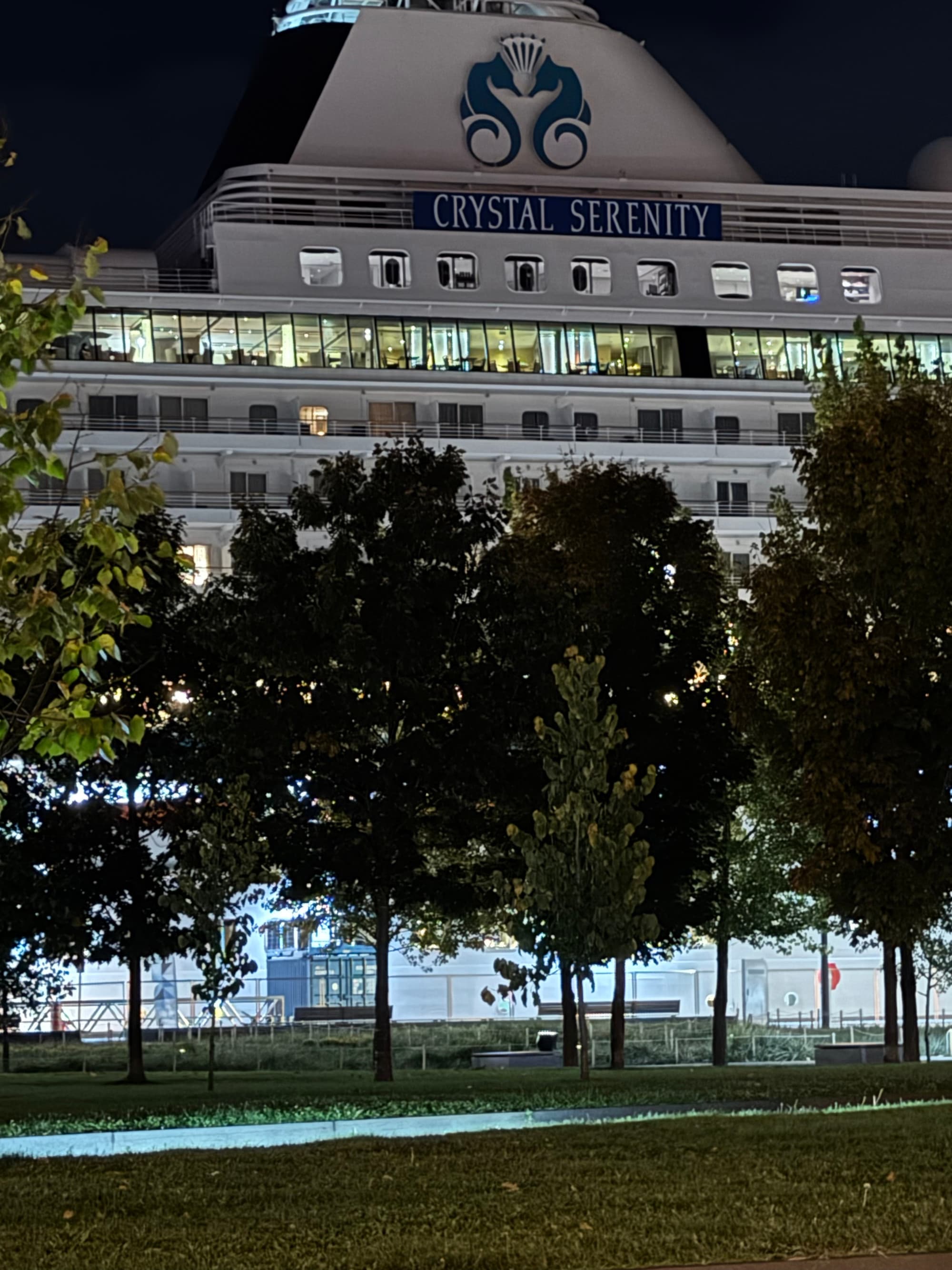 A cruise ship at a dock, lit up at nighttime