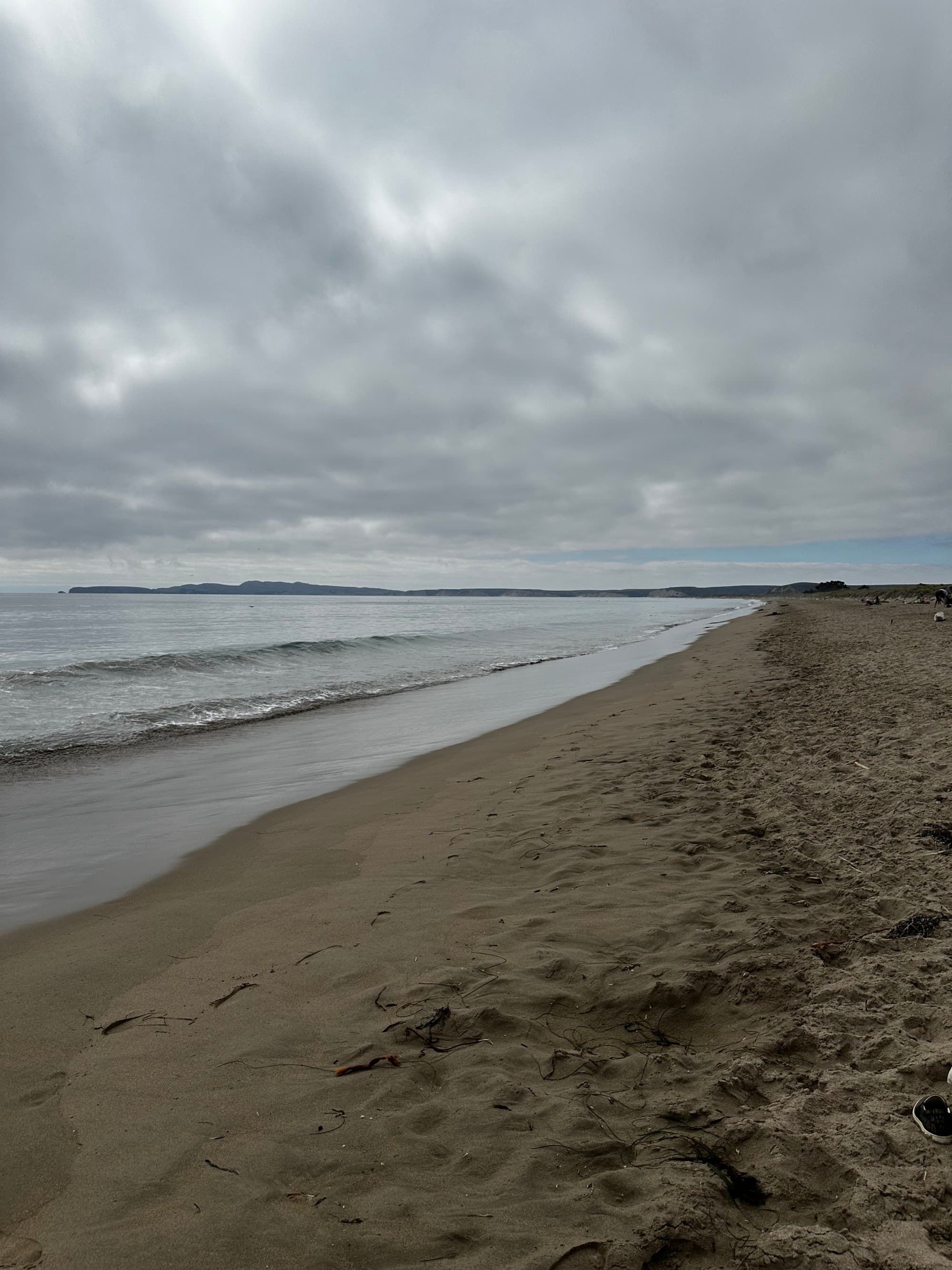 A beach and seaside during a cloudy day