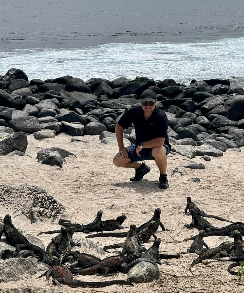 Marine iguanas sun themselves on the rocky beach shore as waves lap the sand on a sunny day.