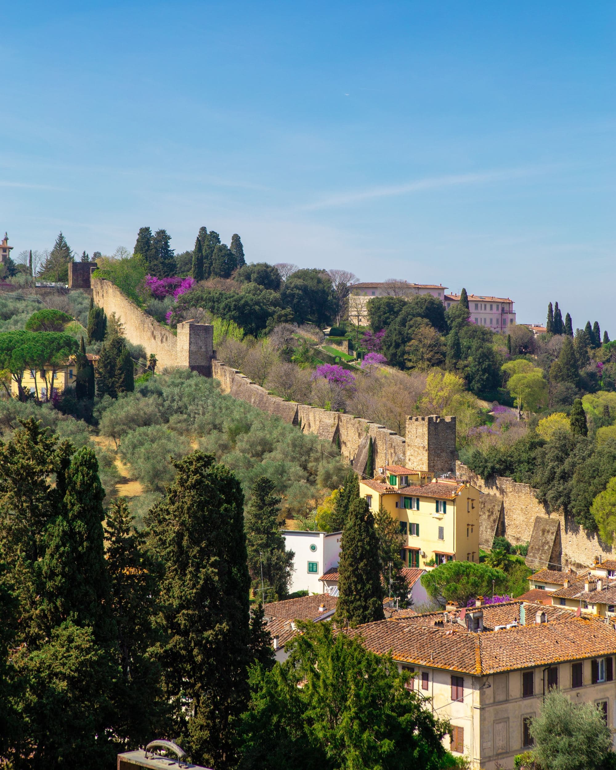 view of rooftops and trees on hillside ancient town on sunny day