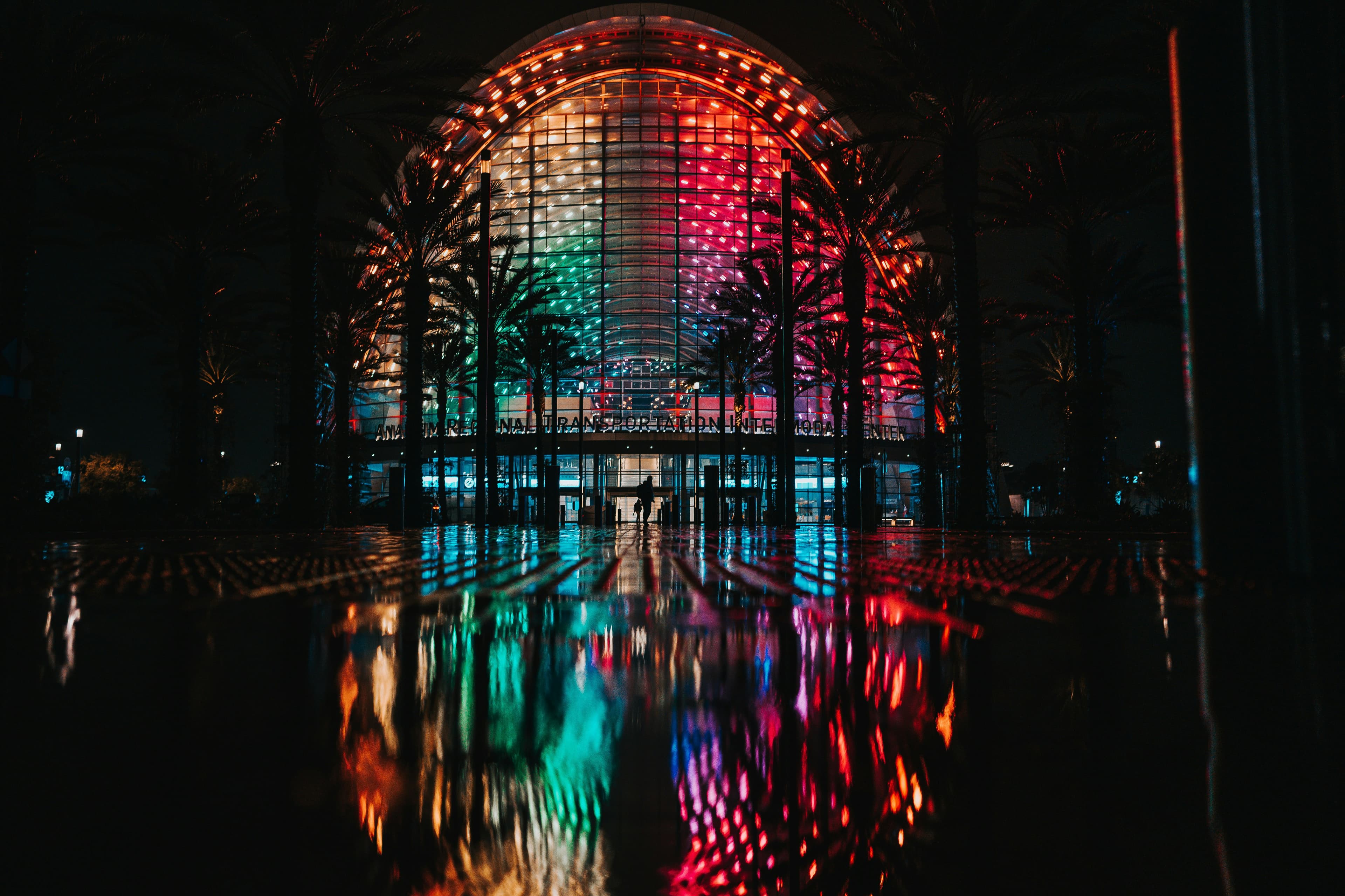 Palm trees in front of a rainbow-lit-up building at nighttime.
