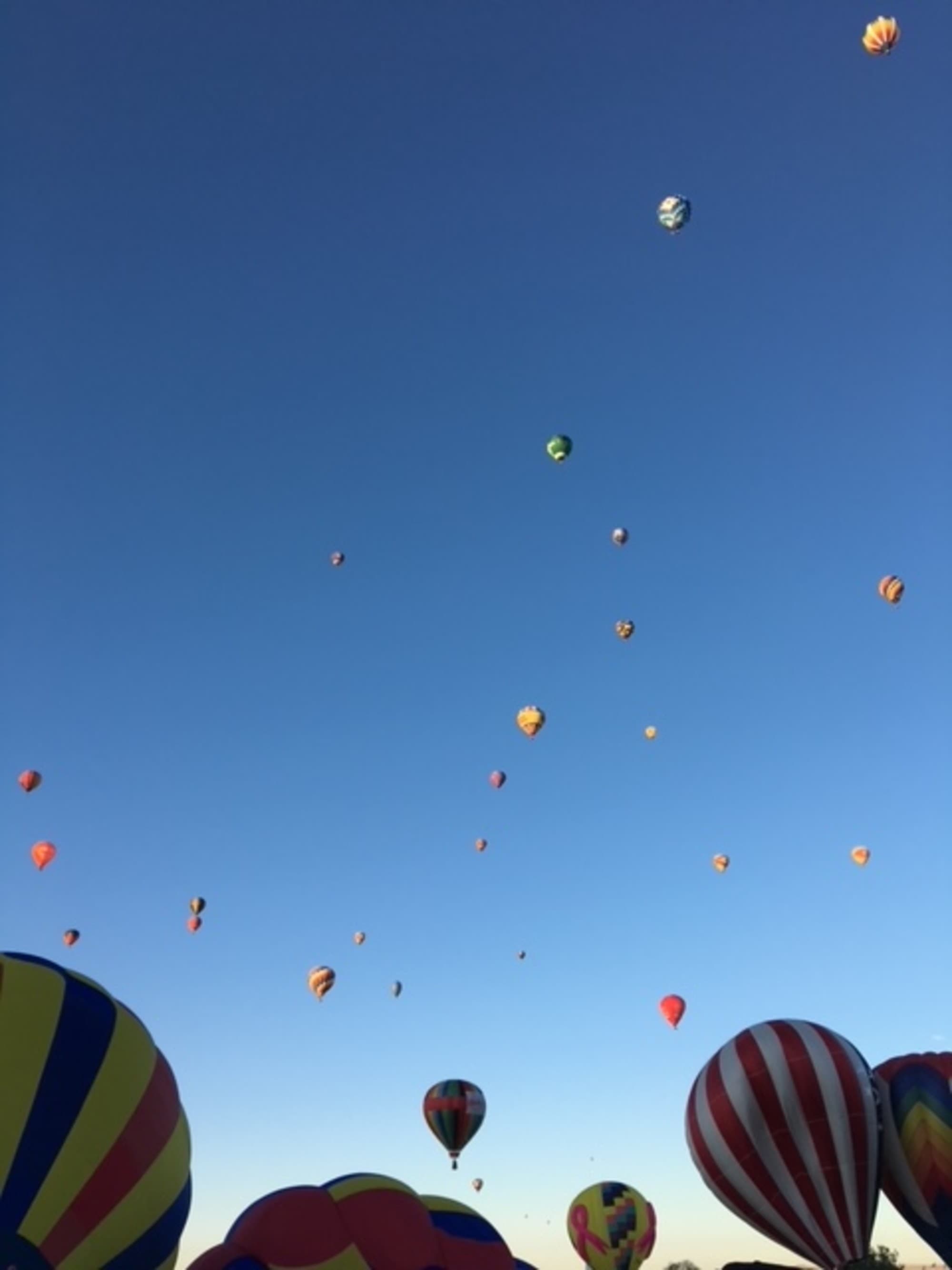 The image features a vibrant array of hot air balloons soaring in a clear blue sky.