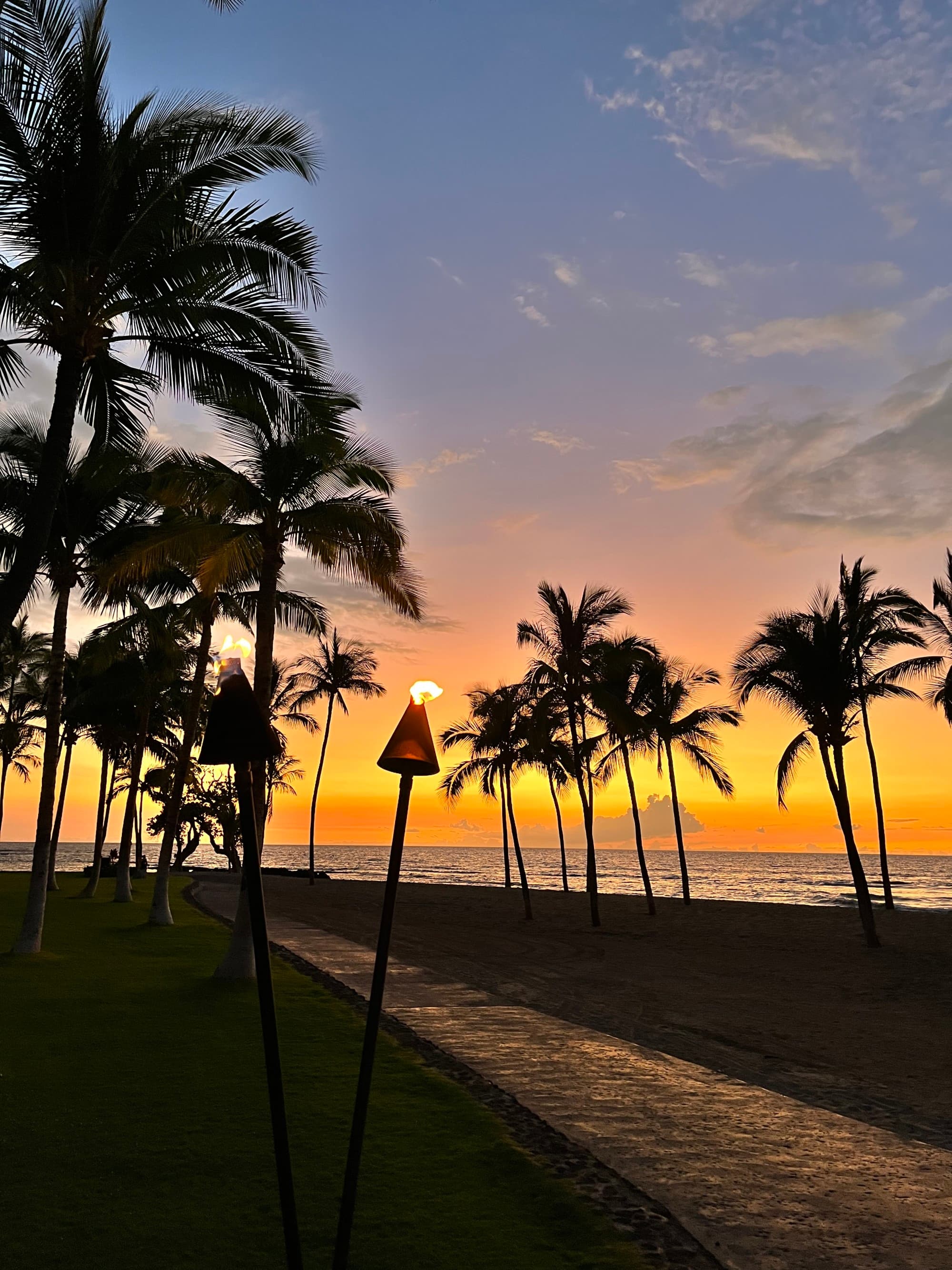 A sunset over the water next to a walking trail covered by palm trees