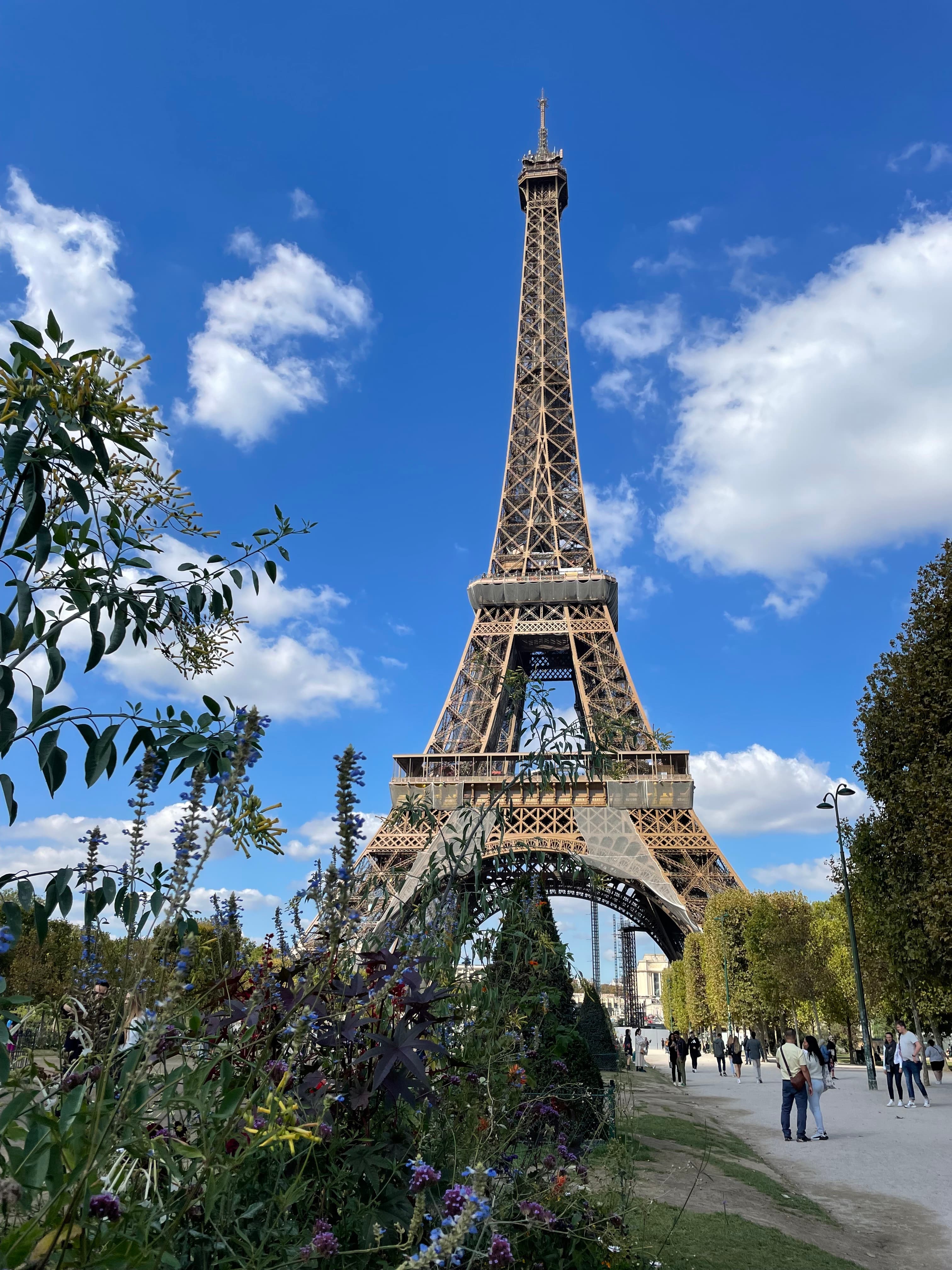 The Eiffel Tower during daytime.