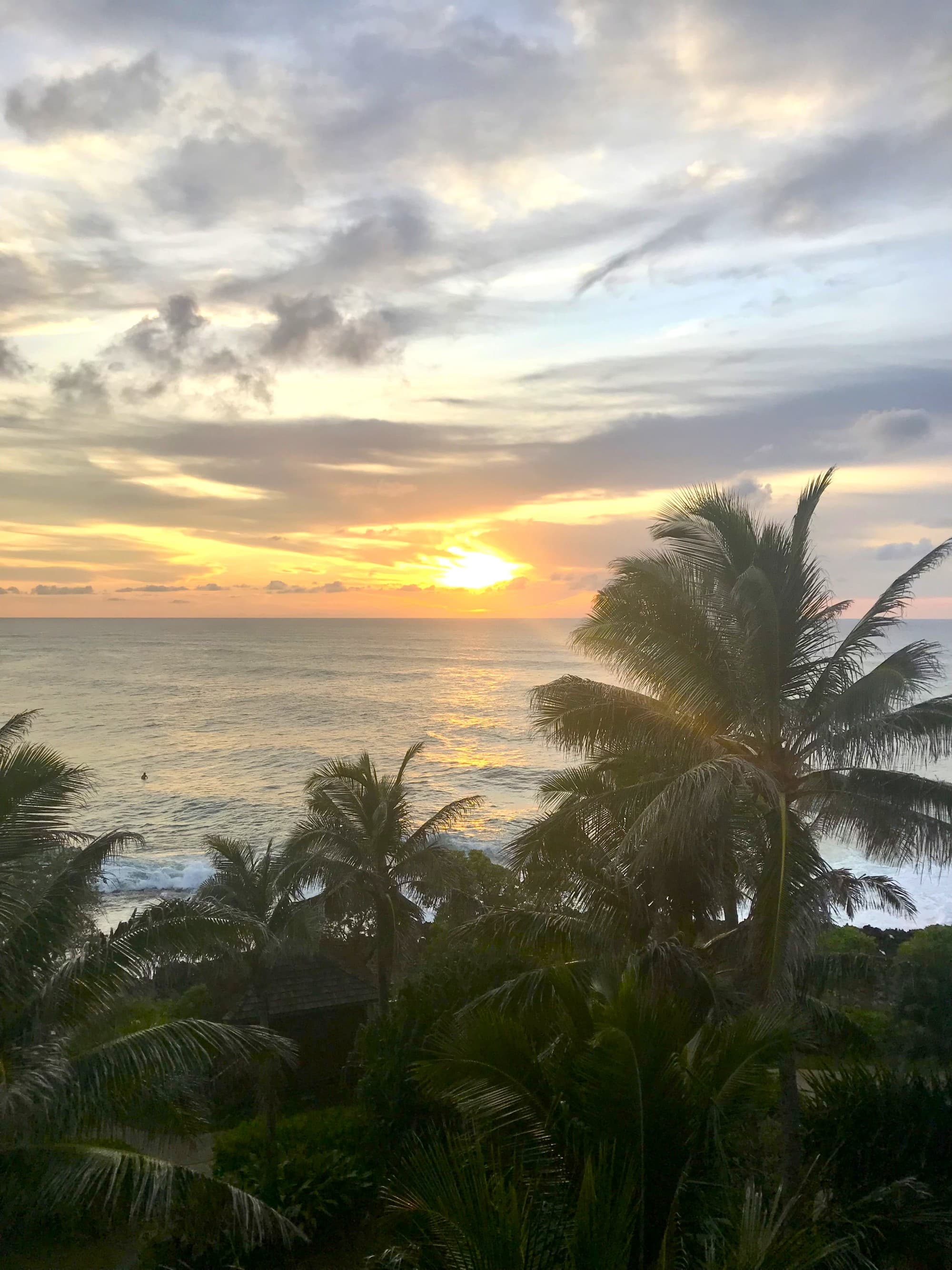 A serene sunset over the ocean, silhouetting palm trees against a vibrant sky.
