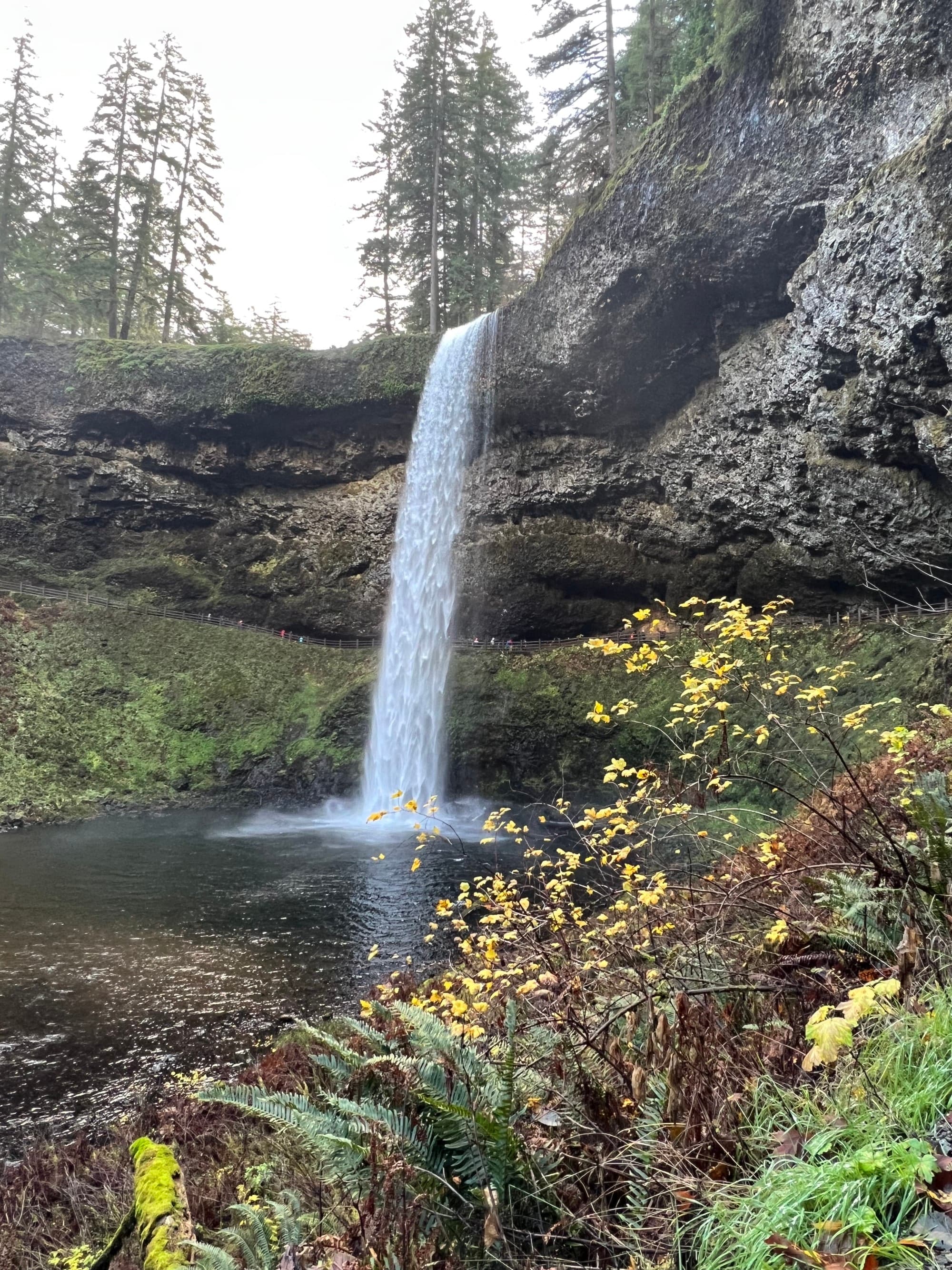 A serene waterfall cascading into a tranquil forest pool, surrounded by lush greenery and autumnal leaves, creating a mystical atmosphere.