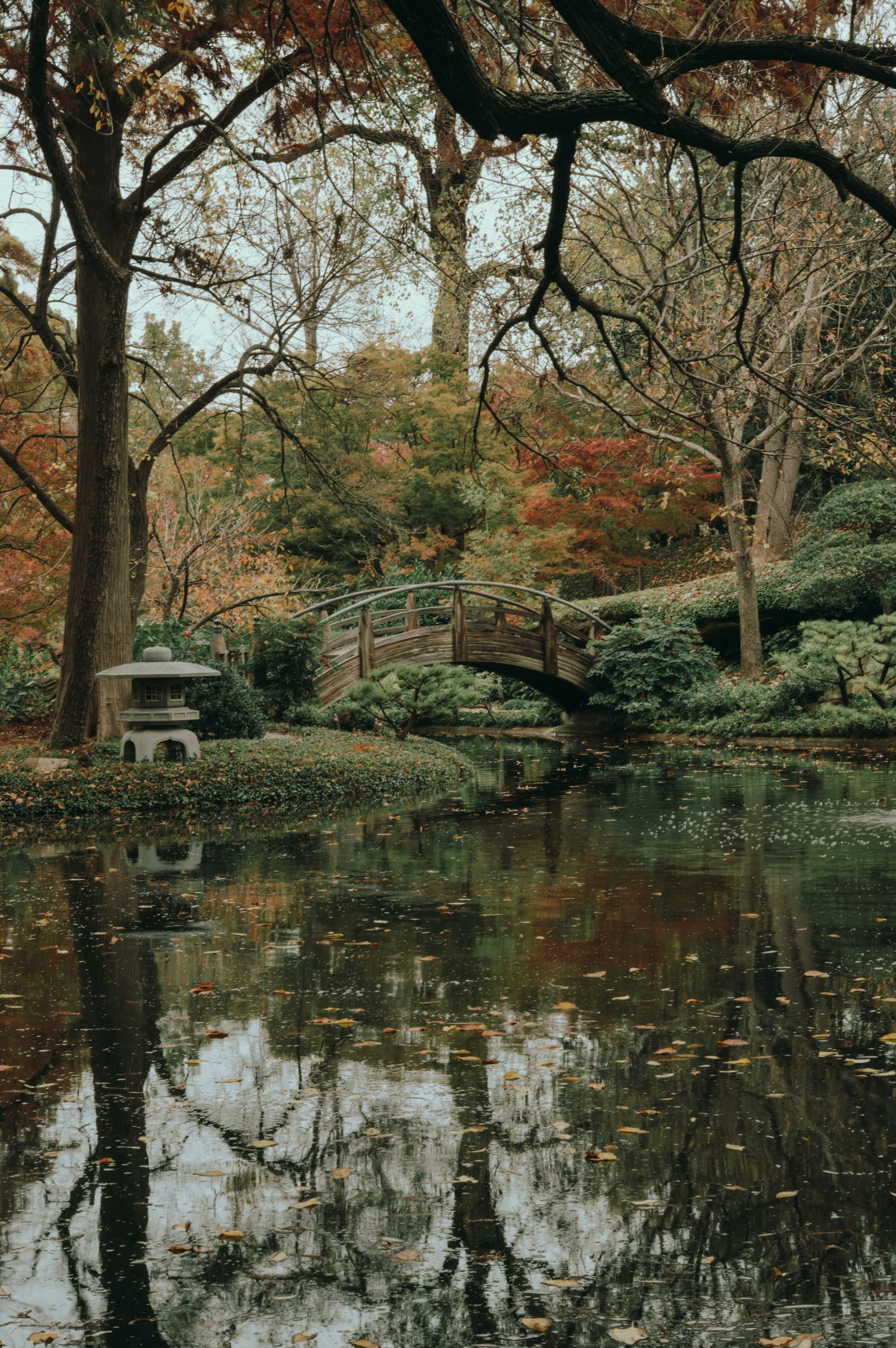 The picture portrays a peaceful autumn scene with a wooden bridge over a pond, surrounded by trees in fall colors.