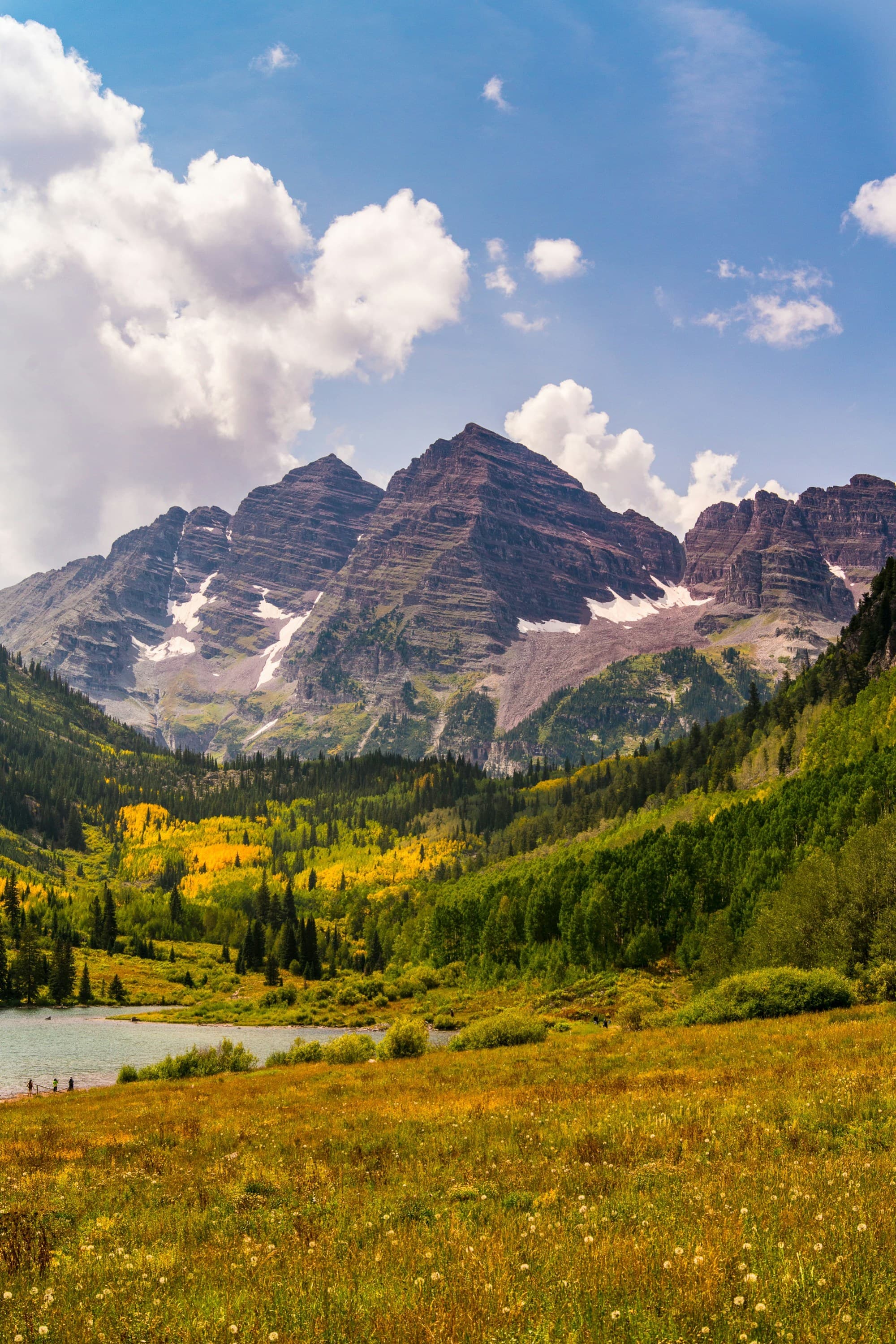 A view of yellow and green foliage, hills and mountains in the background with some snow
