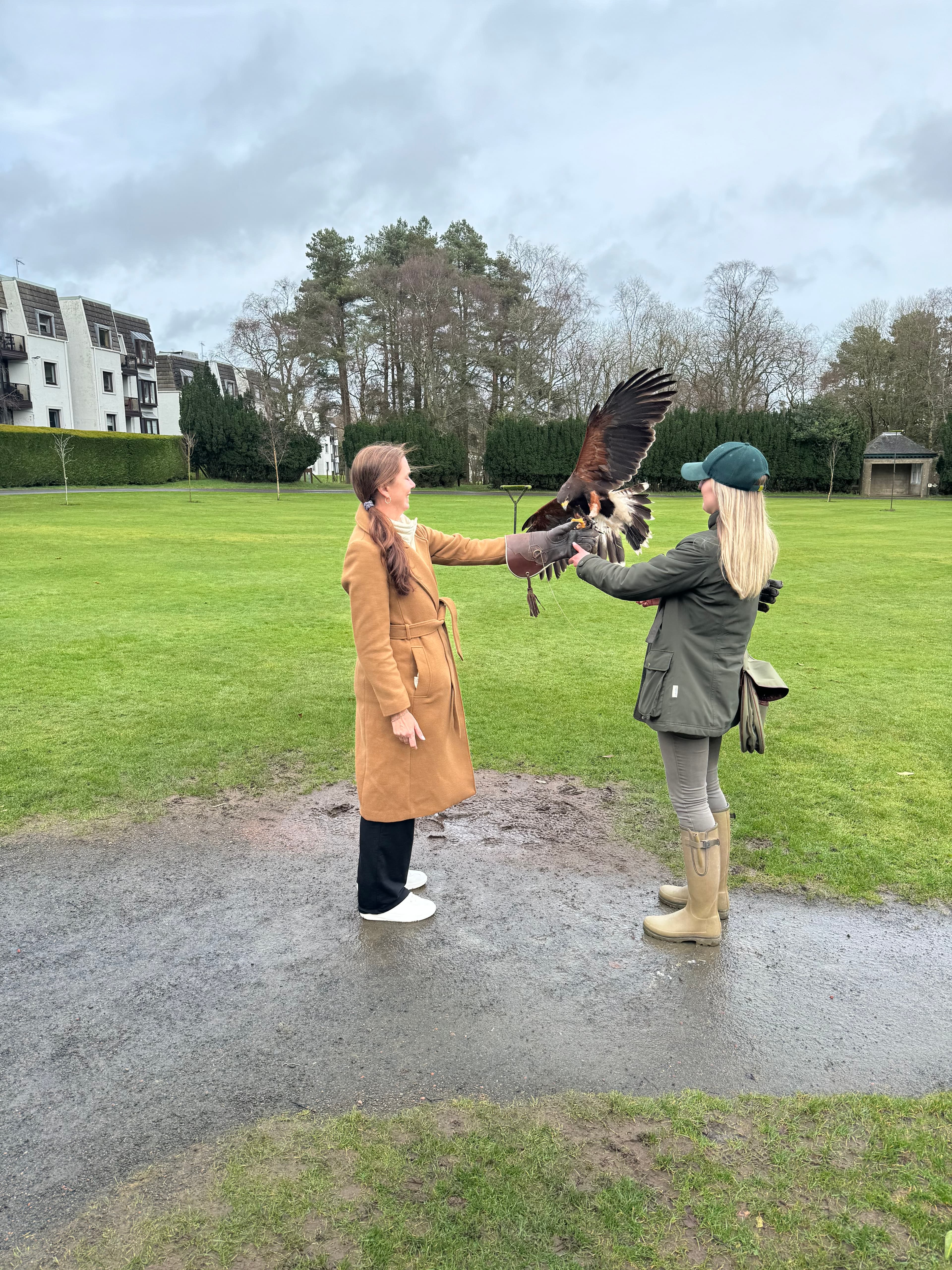 Advisor posing in the garden with bird during a falconry lesson