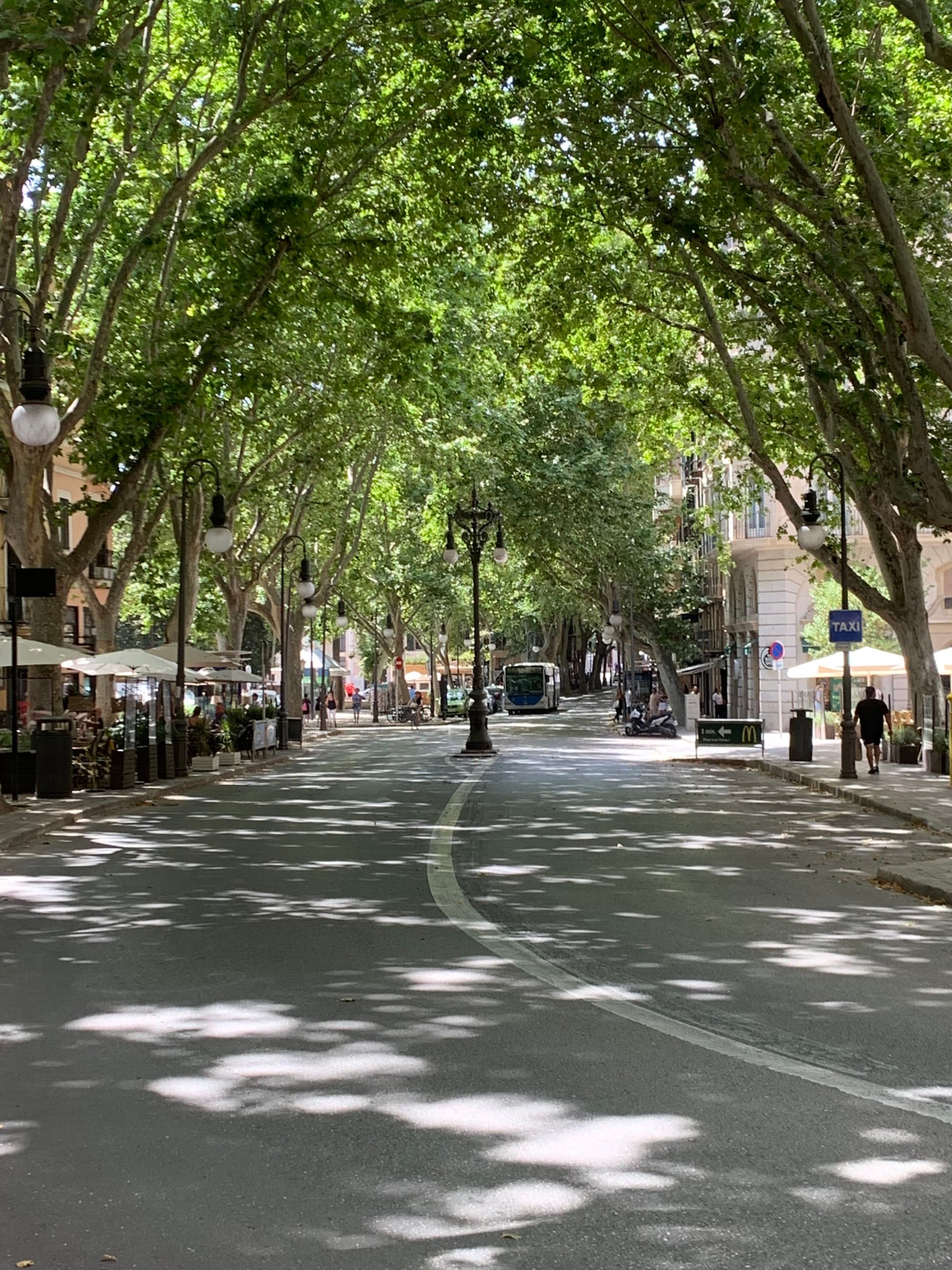 Street with trees on sides.