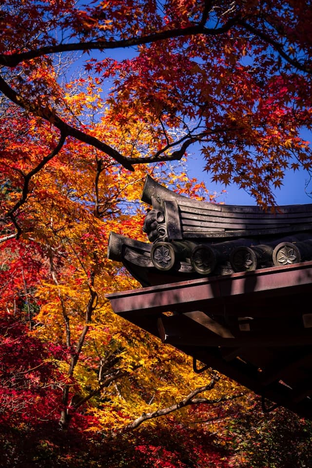 The corner of a pagoda with red and orange foliage in the background during fall, one of the beautiful Japan seasons.