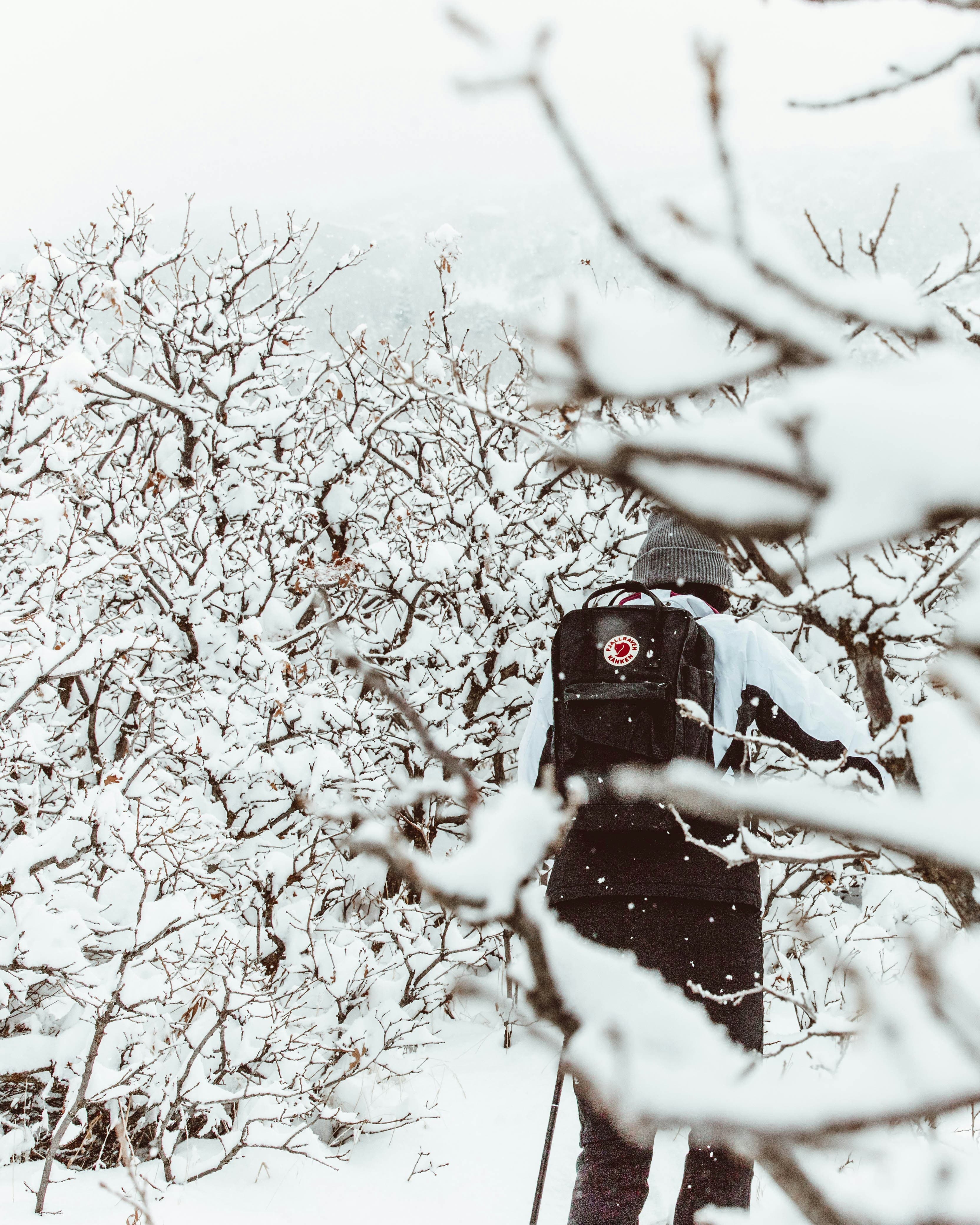 A person walking through snow-covered trees