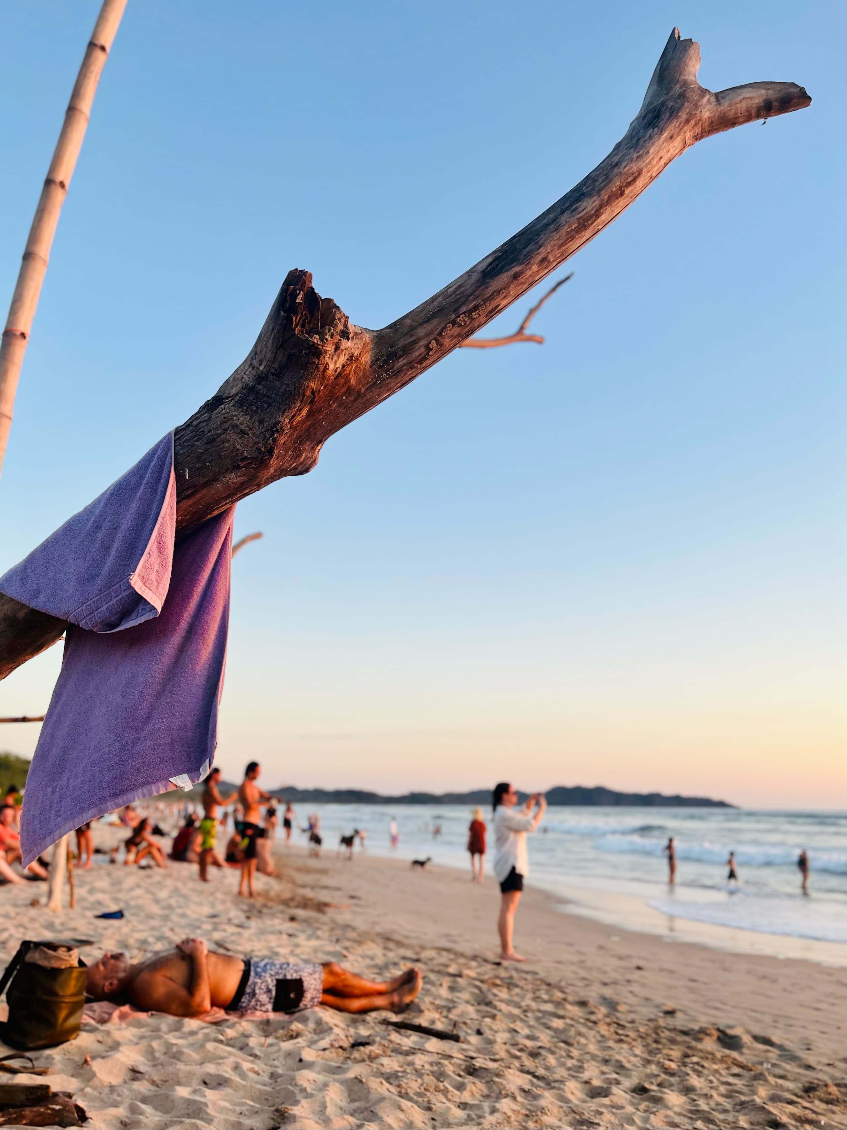 A group of people hanging out on a beach with a tree branch in the forefront of the image that has a purple piece of fabric hanging from it.