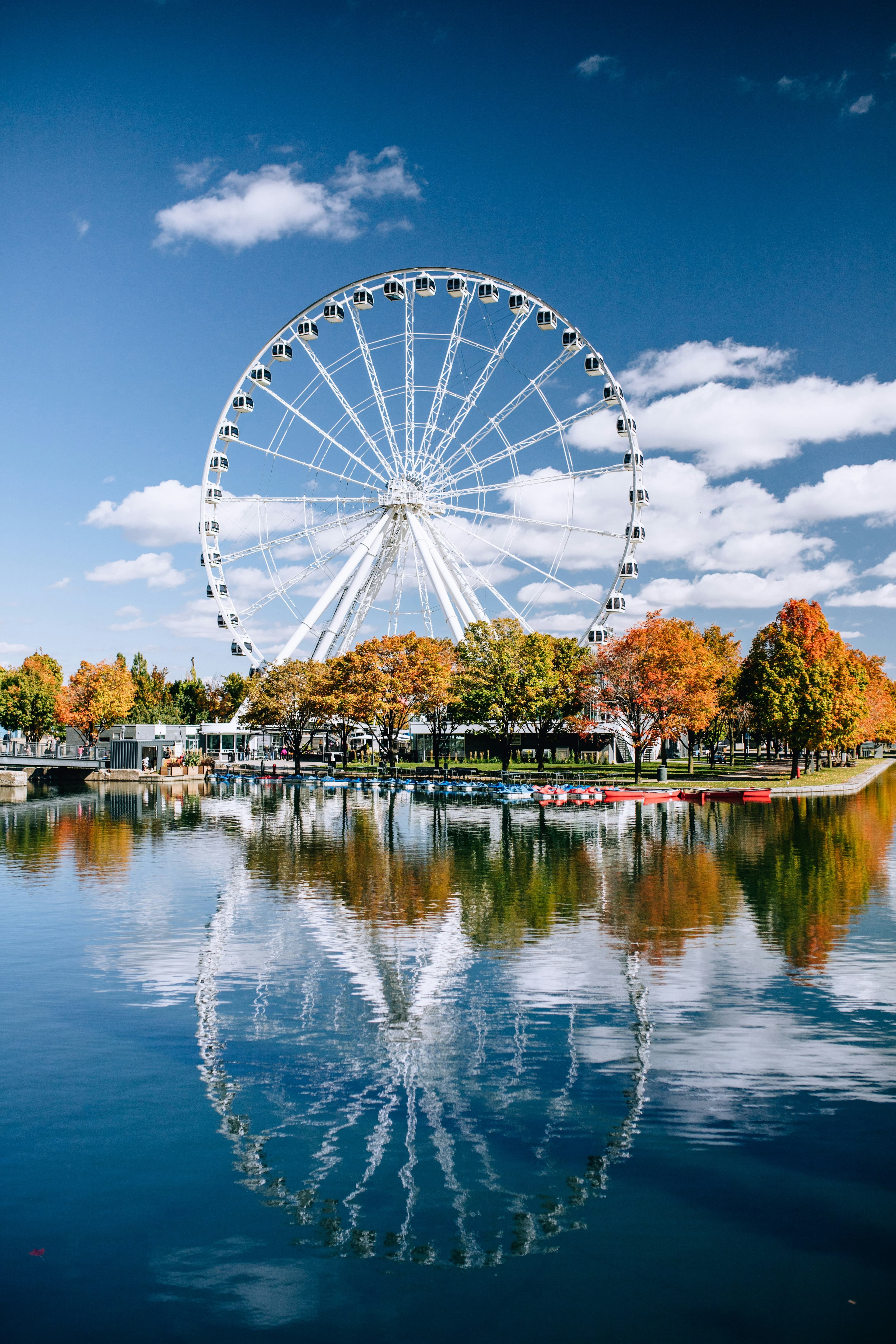 Ferries wheel next to a body of water during the daytime