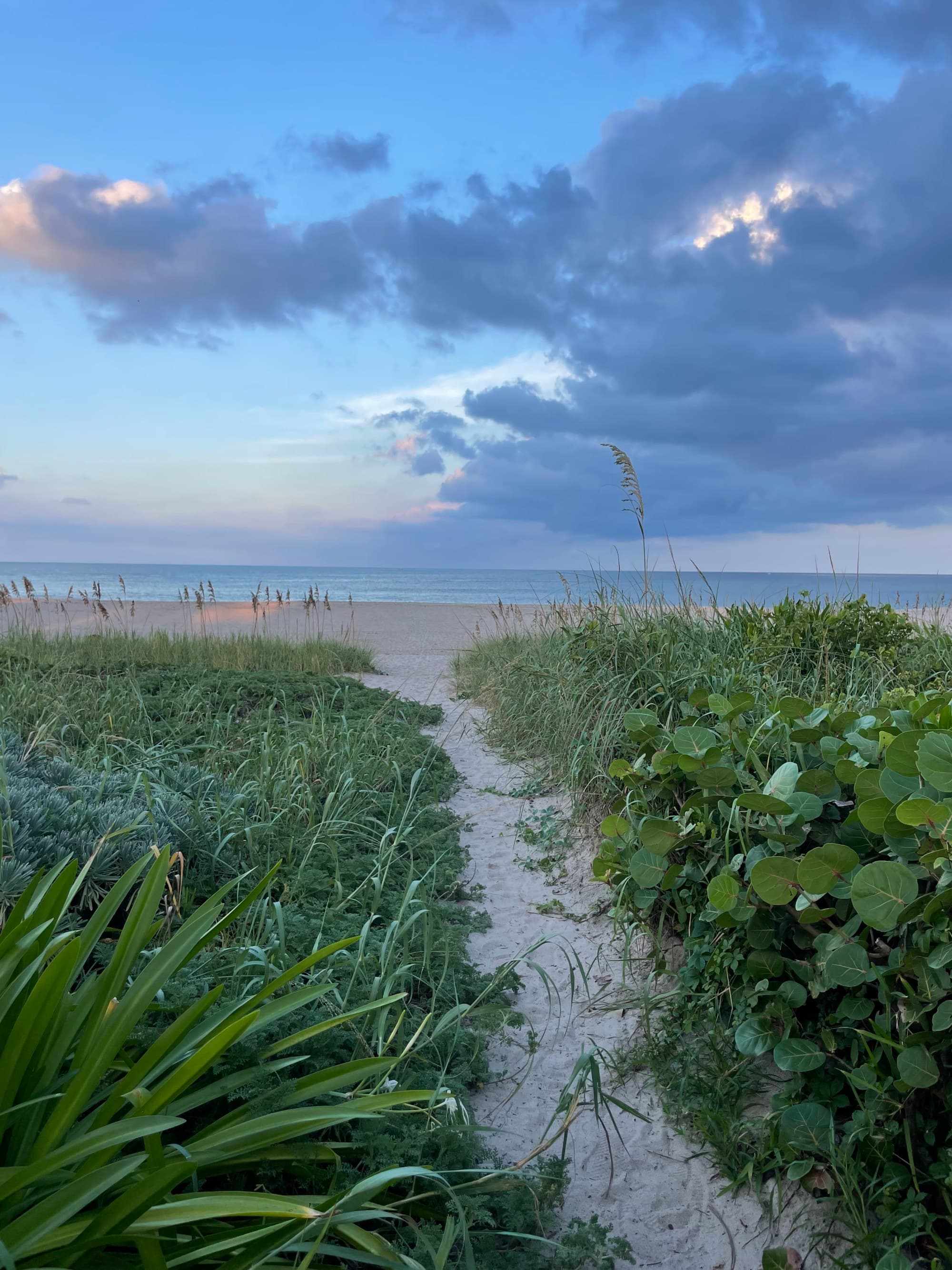 A view of a sandy path leading to a beach and the ocean in the distance.