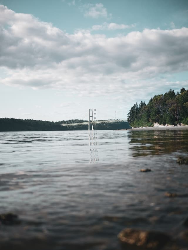 a photo of a white bridge built over a lake with pine trees surrounding it's shores.