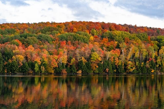 Fall foliage reflecting off of a lake's surface.