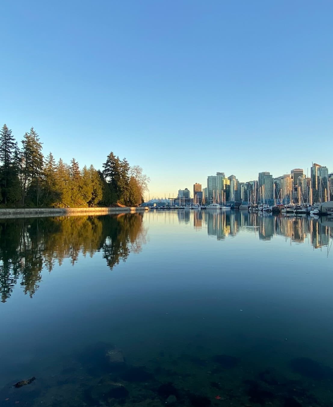 A body of water in between trees and buildings.