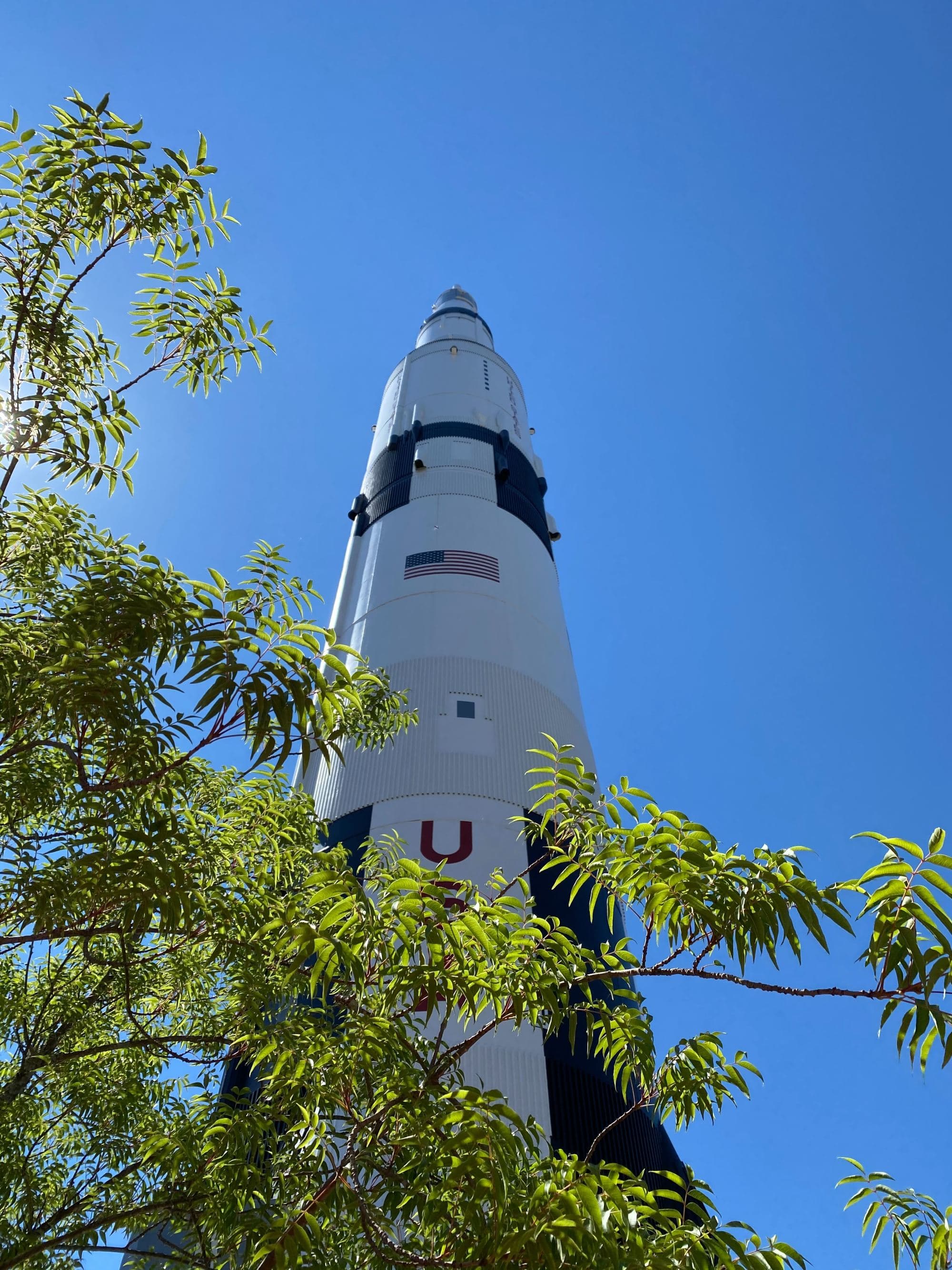 rocket points to the blue sky covered by tree branches