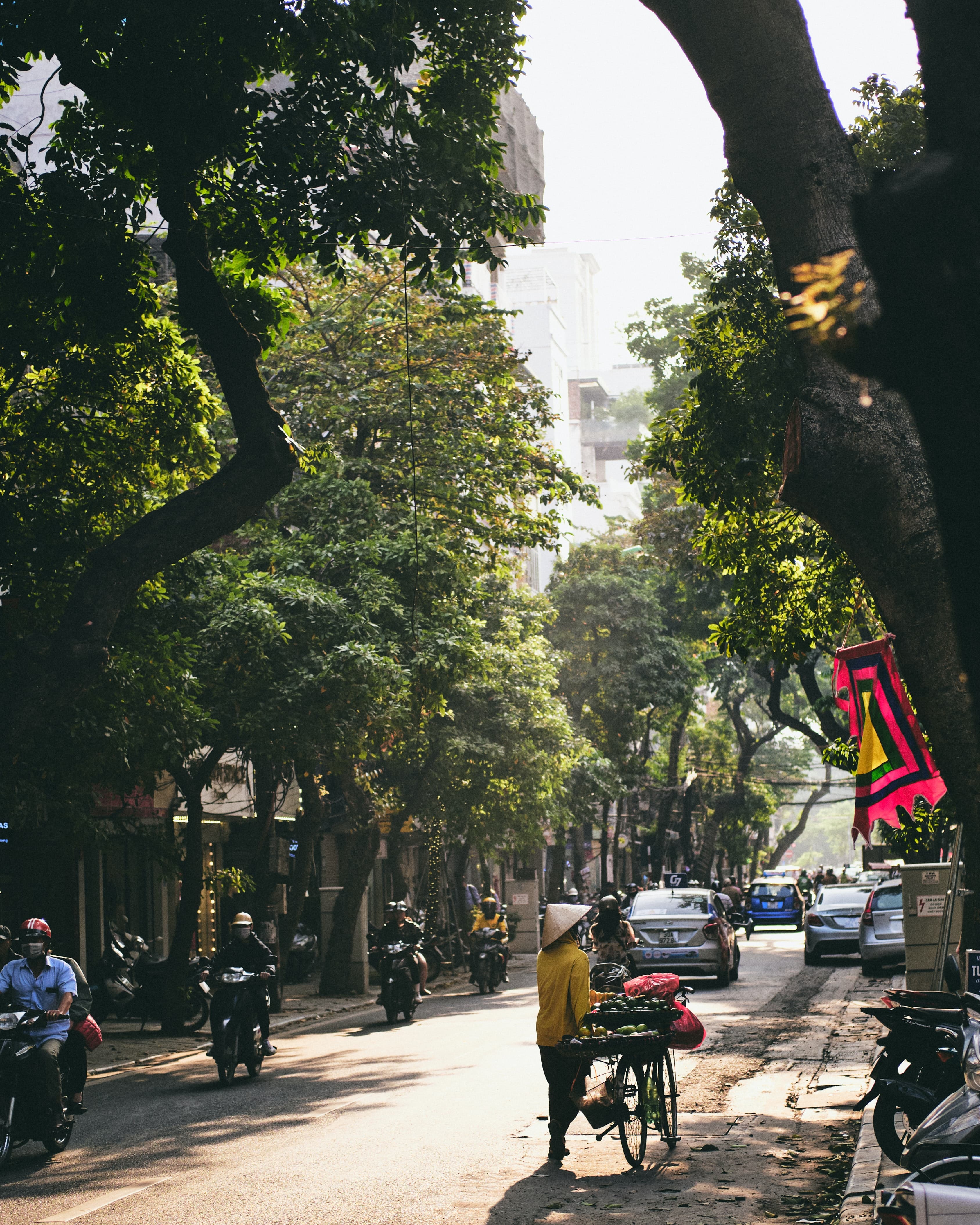 people in the street lined with trees and buildings