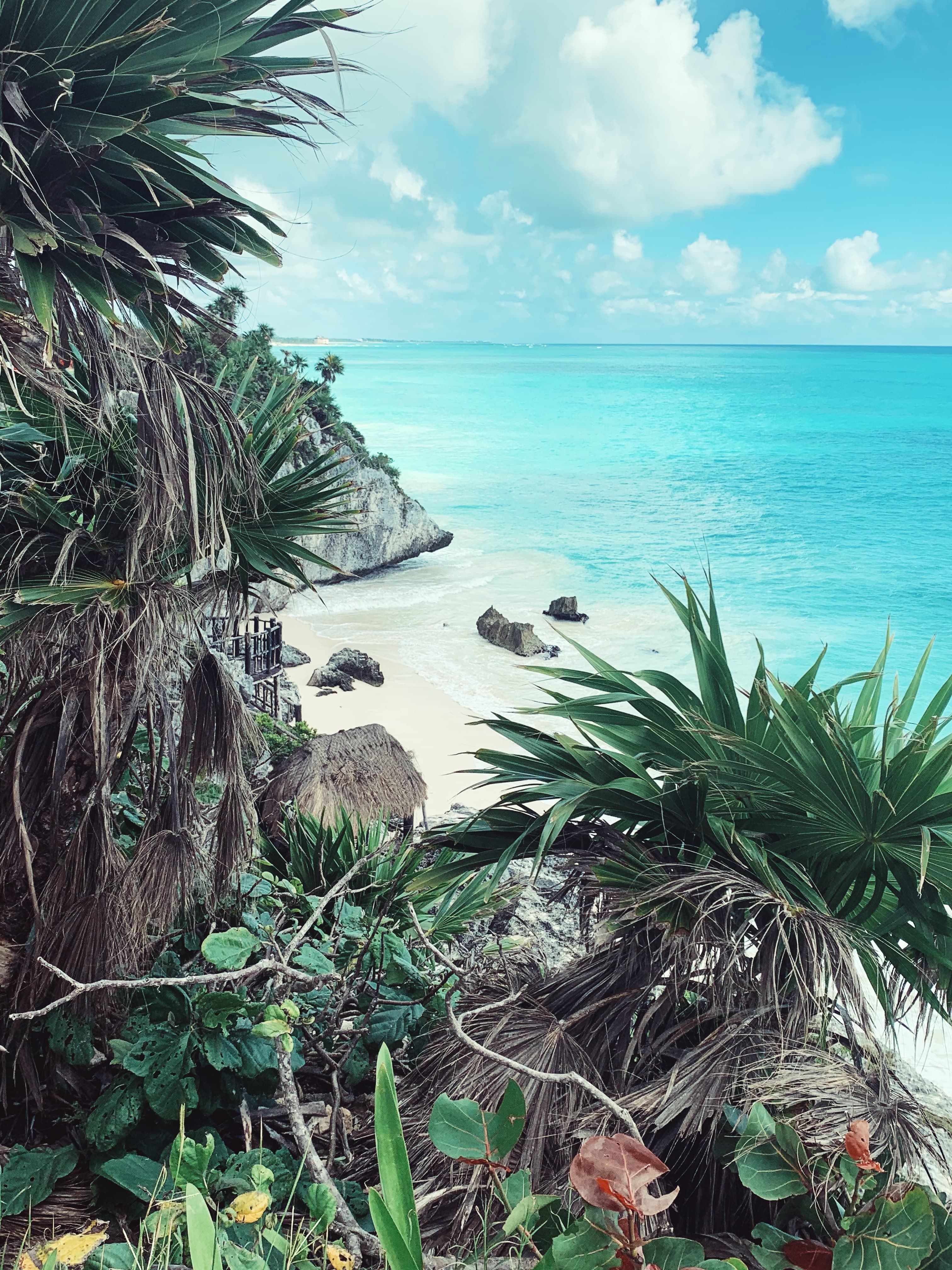Green plants next to sand and ocean with clouds in the sky during daytime
