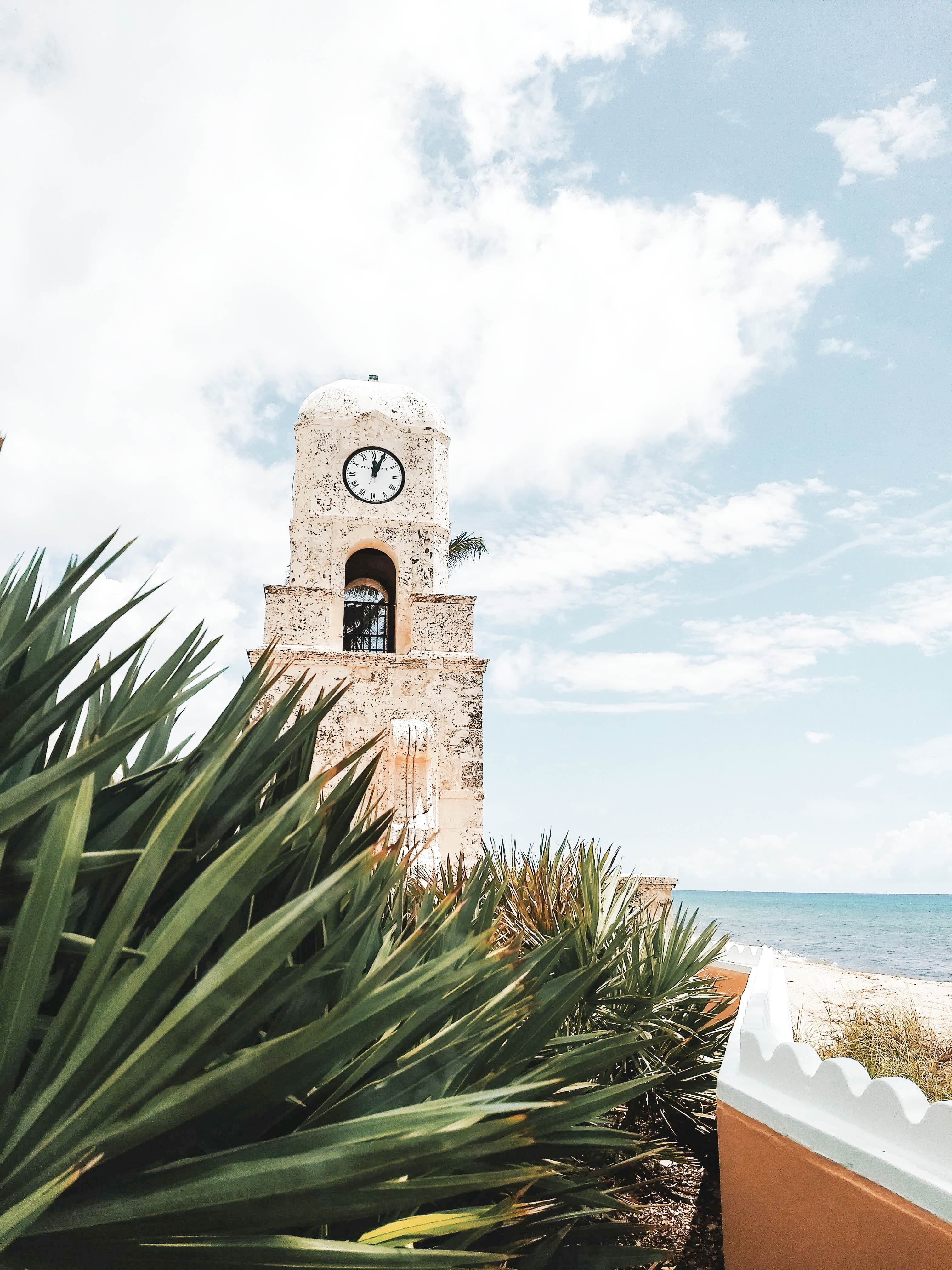 Palm Beach palms and historic structure.