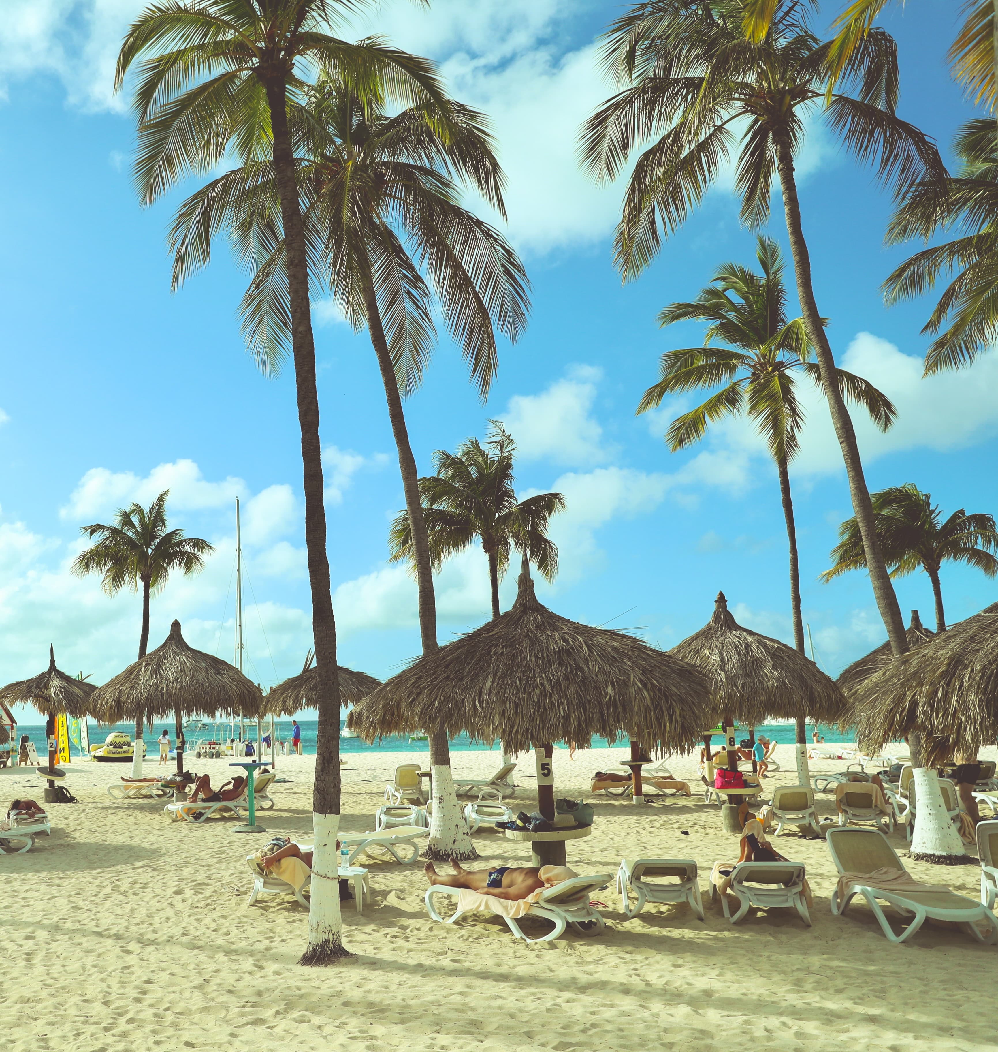Beach chairs surrounded by palm trees on the beach in Aruba